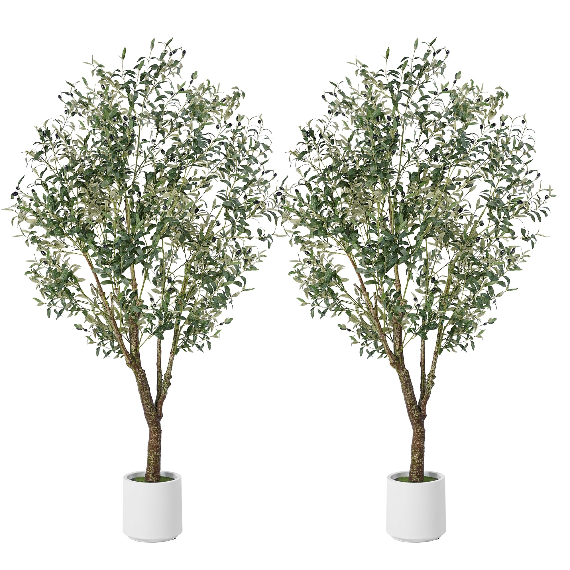 Photo 1 of Jocoevol Artificial Olive Tree 7FT, Indoor Fake Silk Plant with Realistic Trunk, Leaves, Fruits and White Planter, Faux Potted Tree for Home Decor and Housewarming Gift, 2 Pack