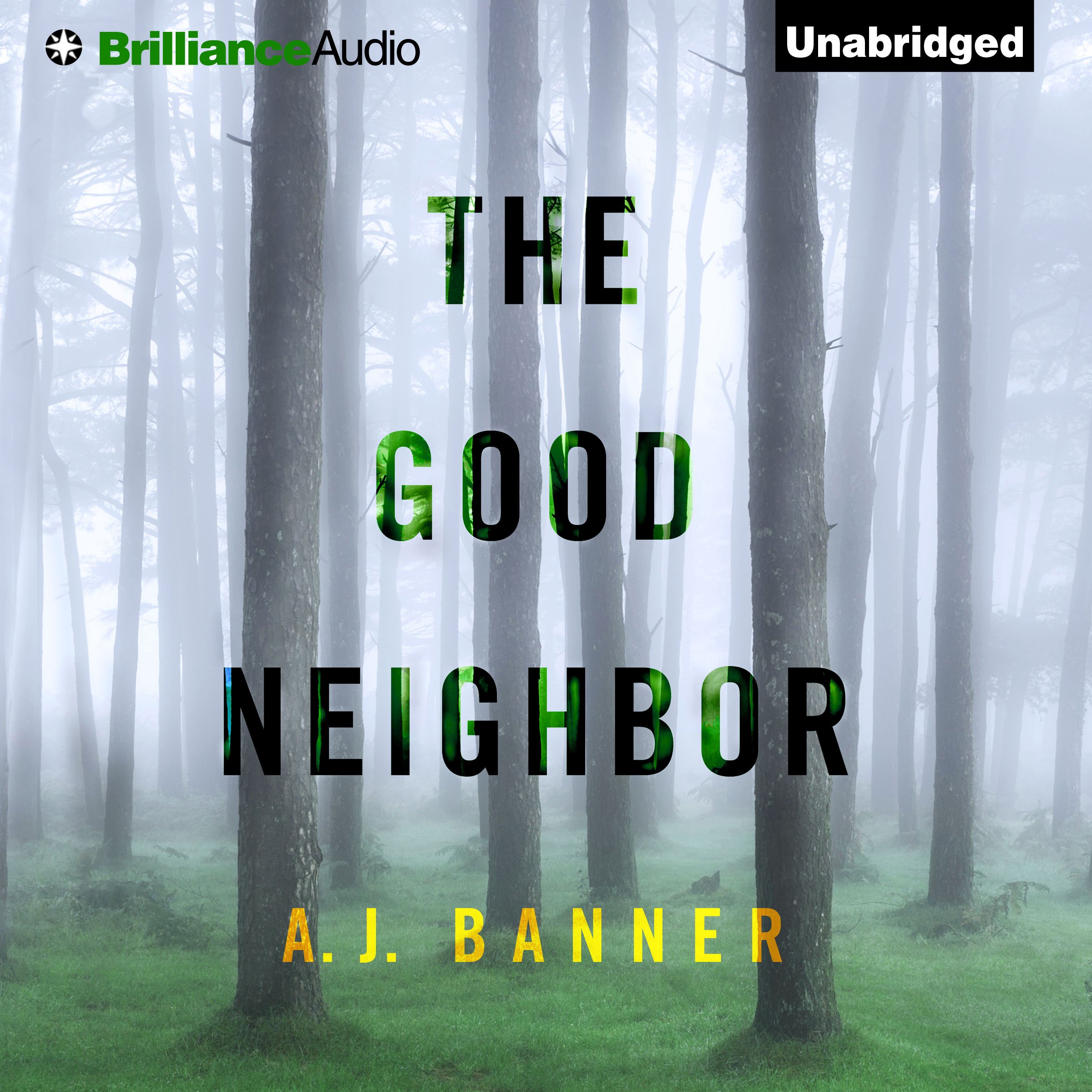 Cover art for The Good Neighbor