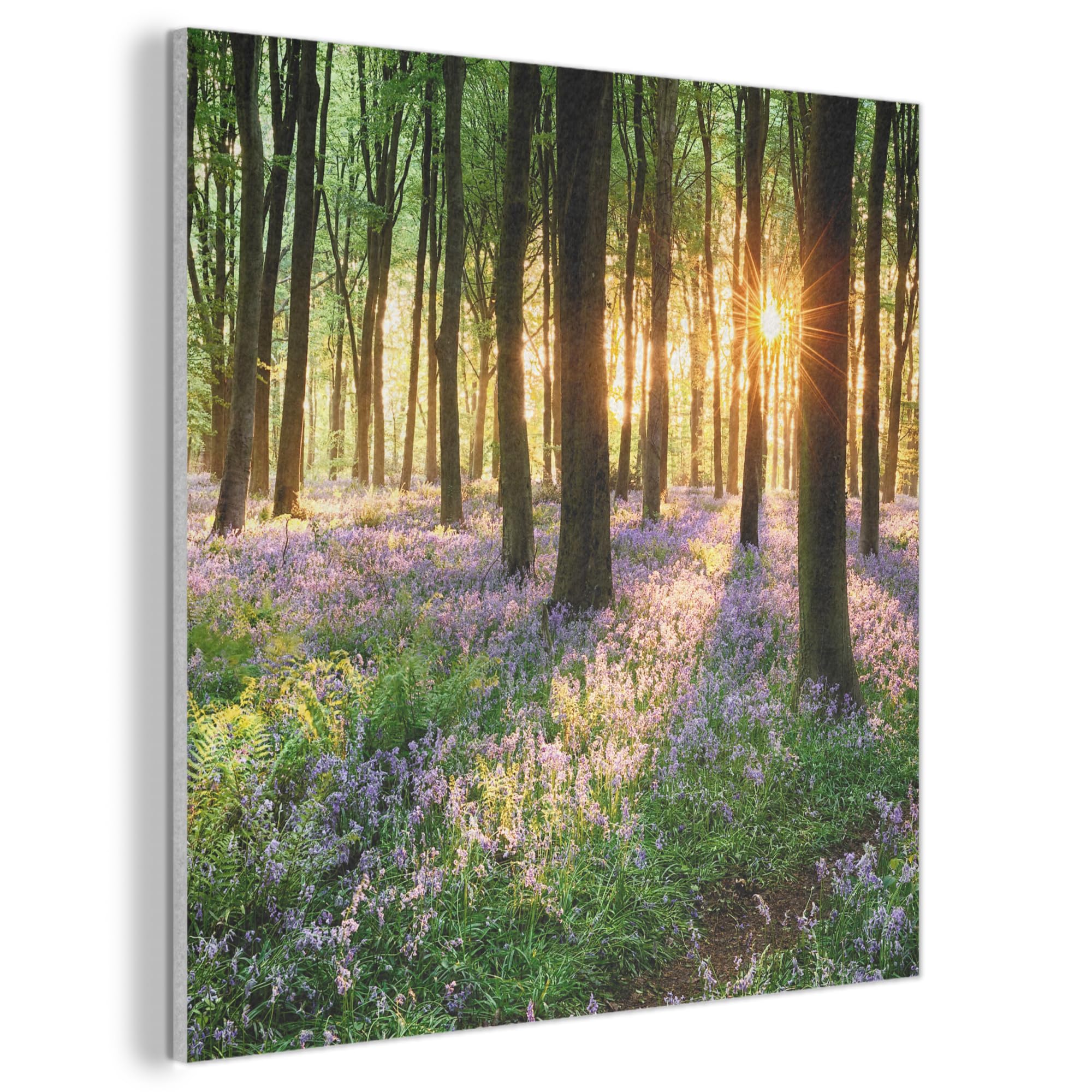 MuchoWow© Wandbilder aus Filz 90x90 cm Wohnzimmer Wanddeko Schlafzimmer Zimmerdeko Wandgemälde Zimmer Deko für die Wand Dekoration Wall Art Wald - Blumen - Lavendel - Sonne - Lila - Natur
