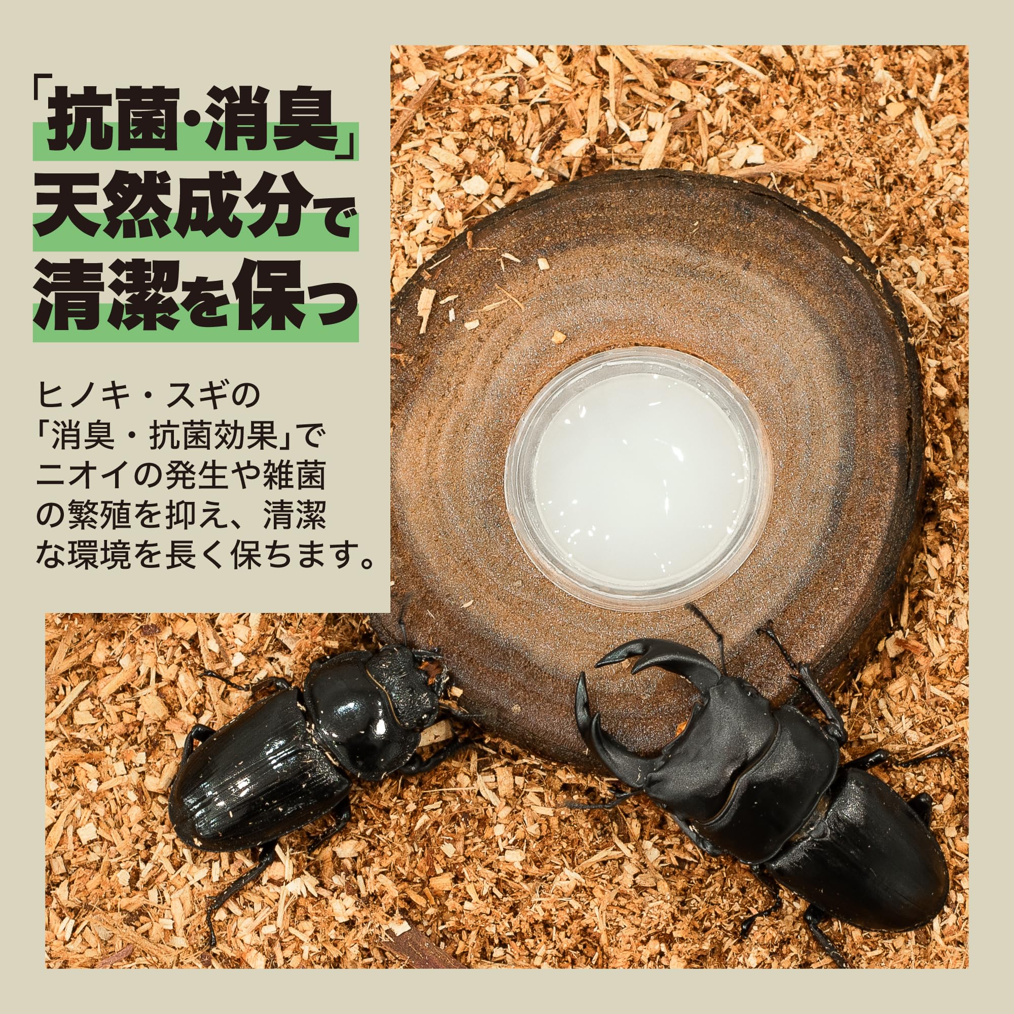 たっぷり100リットル！ヒノキパウダーマット☆クワガタ・カブトムシの