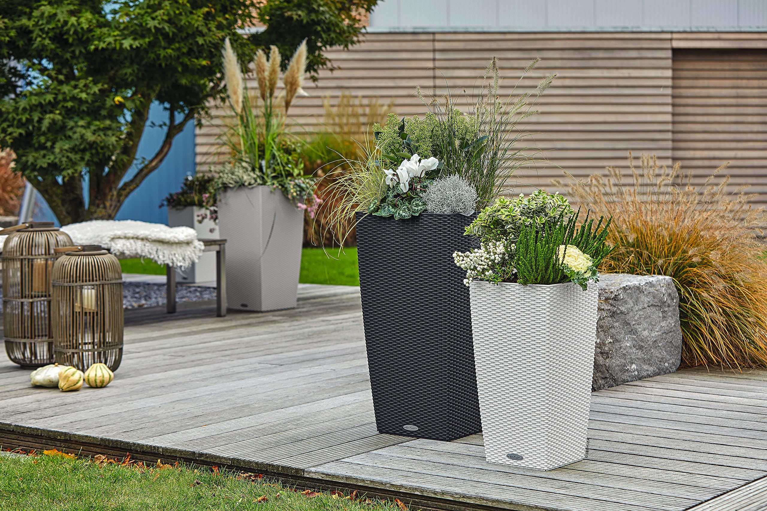 Lechuza CUBICO Cottage 30 Gris Clair 15157