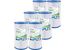 Summer Waves 6 Pack A or C Pool Filter | 29000E/59900E Filter...