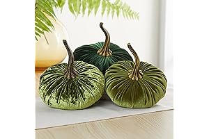 Festive Velvet Botanical Pumpkin Trifecta