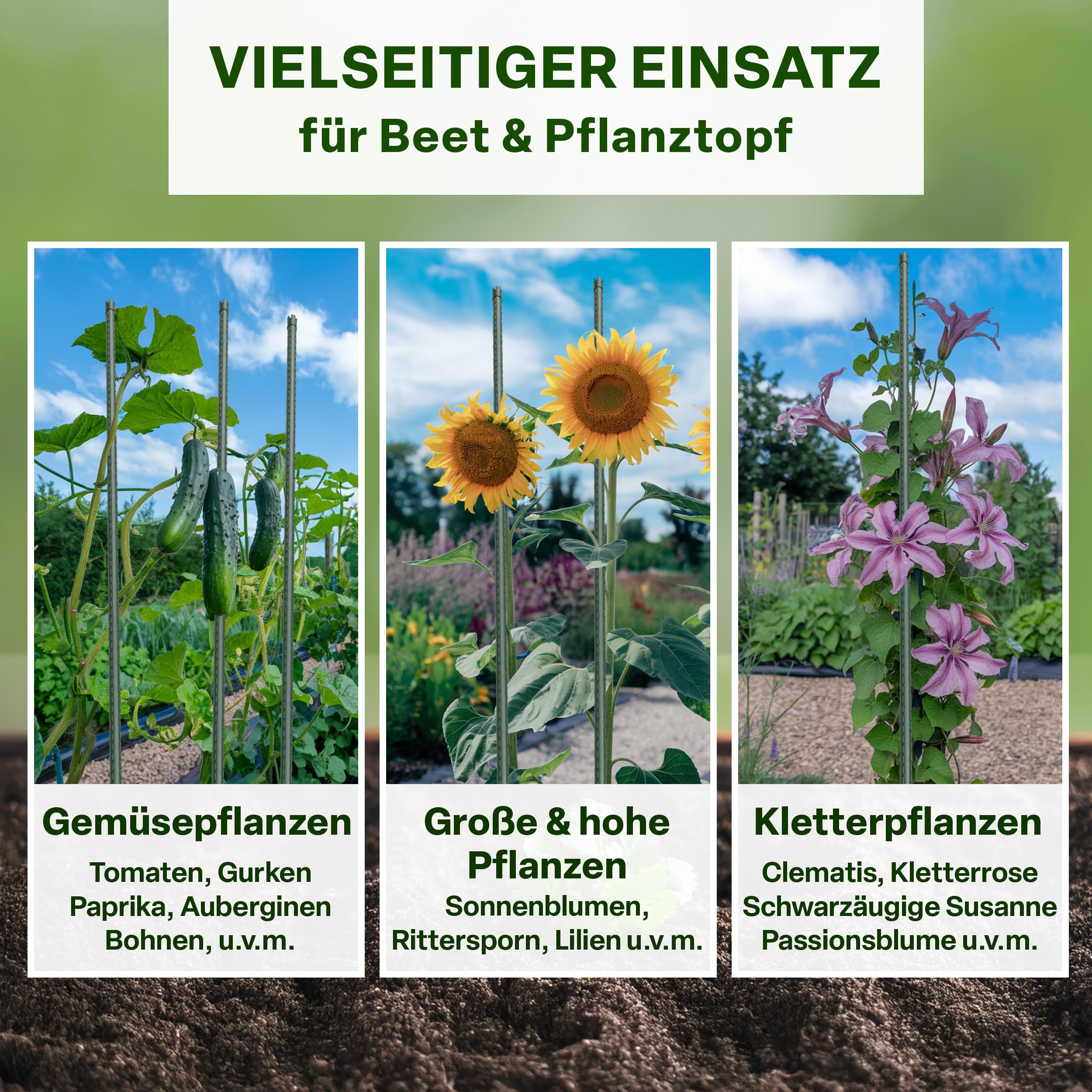 TTL GARDEN Rankstäbe 10er Set 150cm x 16mm Ø grün - extra stabile 16 mm Rankhilfe Pflanzstäbe + Klettband - Stahl rostfrei kunststoffbeschichtet Pflanzenstütze Blumenstütze Tomaten Paprika & Blumen