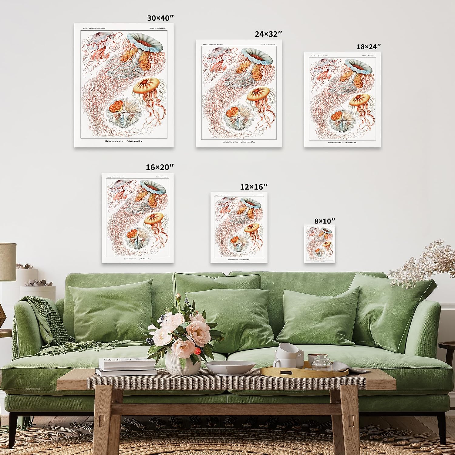 Poster Master Ernst Haeckel Canvas - Haeckel Discomedusae Print - Aquatic & Marine Life Art - Gift for Men & Women - Wall Decor for Dorm, Library or Classroom - 8x10 STRETCHED Canvas