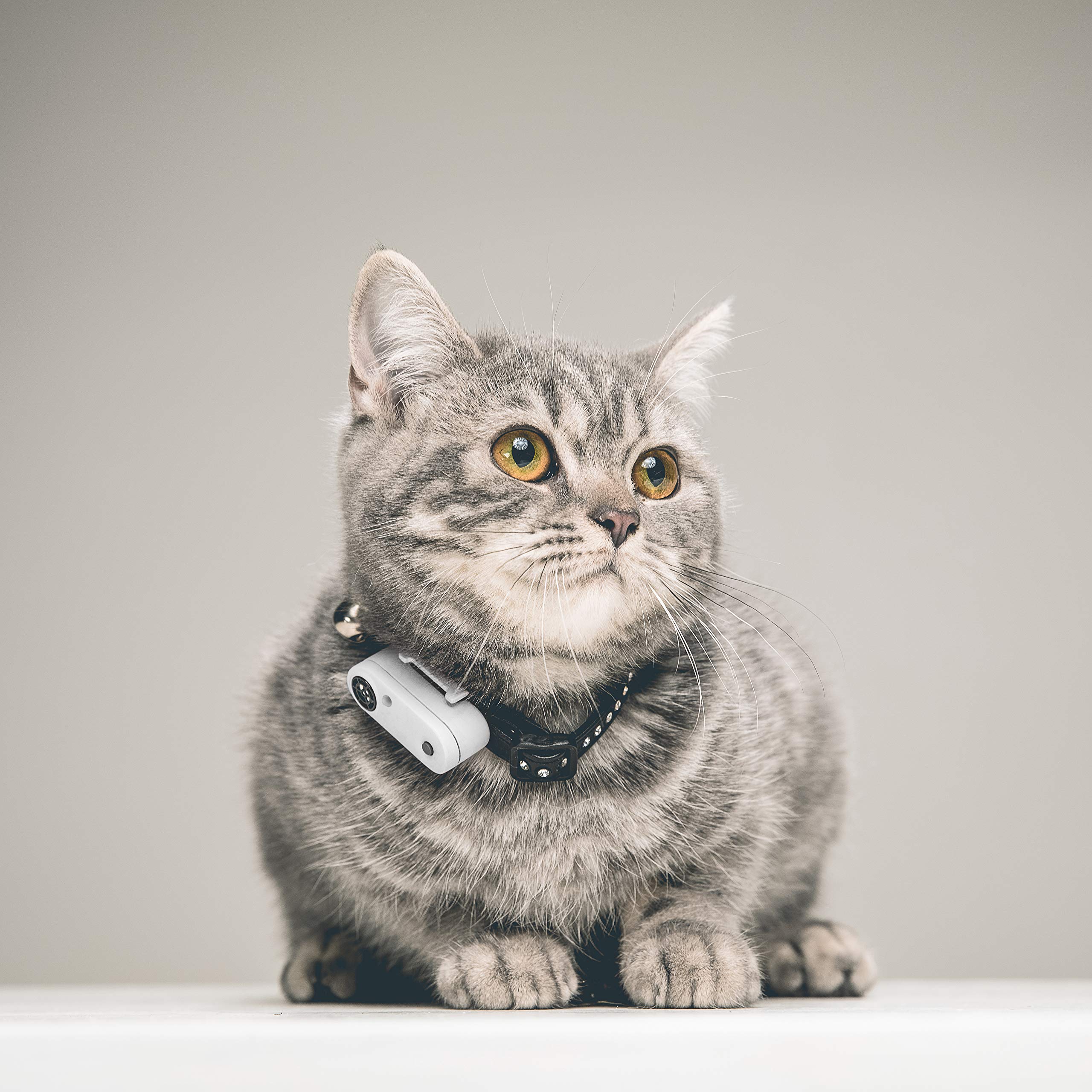 Tickless Mini Cat - Repellente per pulci e zecche Naturale Senza Sostanze chimiche, ad ultrasuoni, per Gatti - Nero