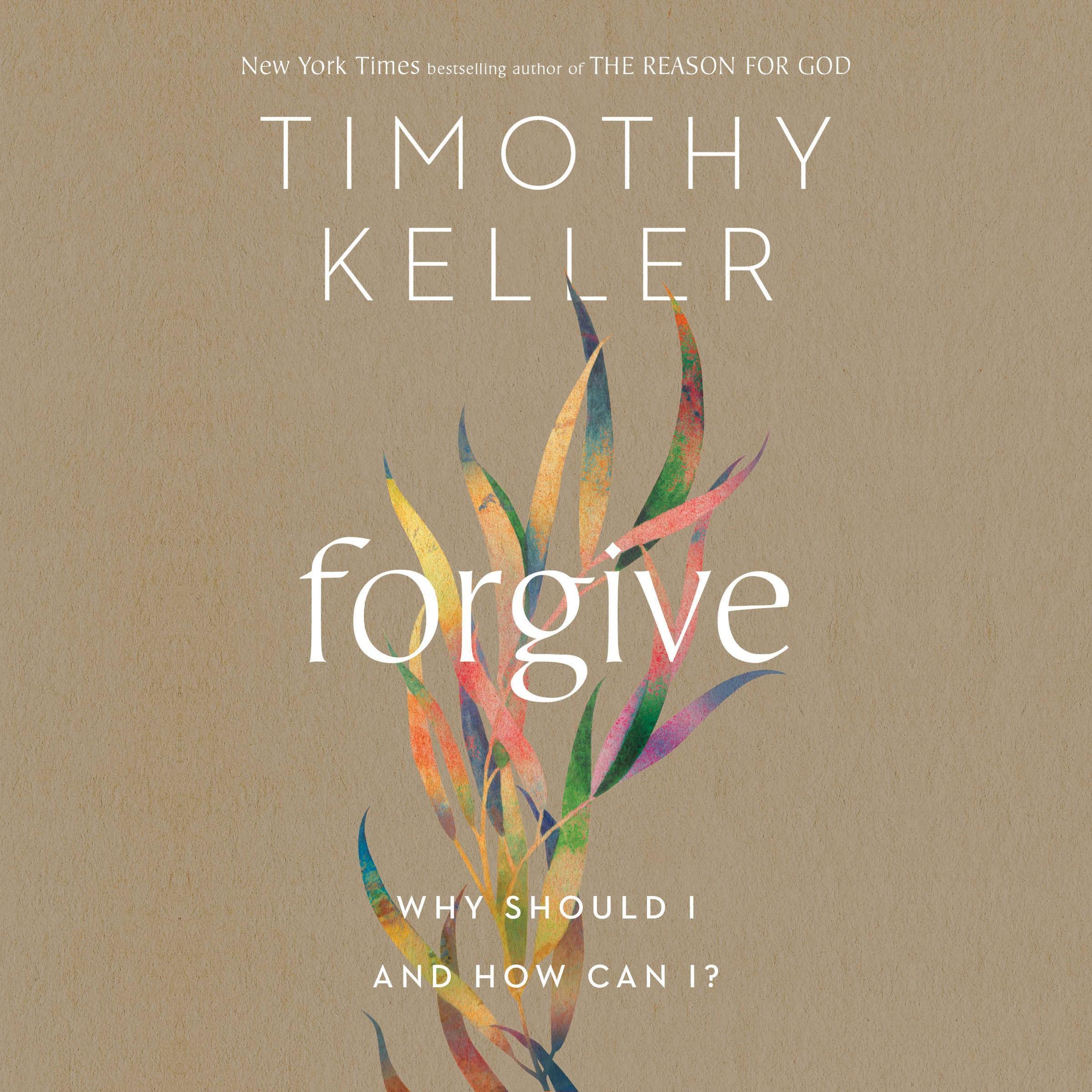 Cover art for Forgive