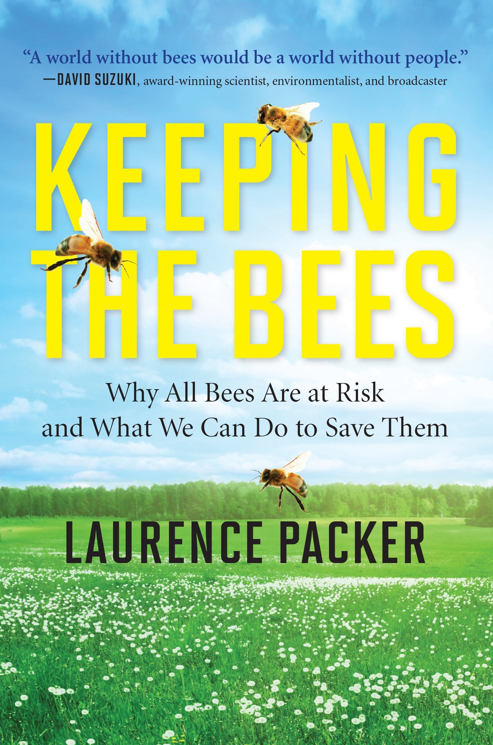Keeping the Bees: Why All Bees Are At Risk And What We Can Do To Save Them