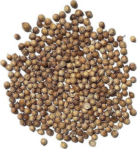 Miniatura 2 de The Old Farmer's Almanac Semillas de Cilantro Orgánico Tradicional (Boleo Lento) - Aprox. 180 Semillas - Orgánico Certificado, Sin OMG, Polinización