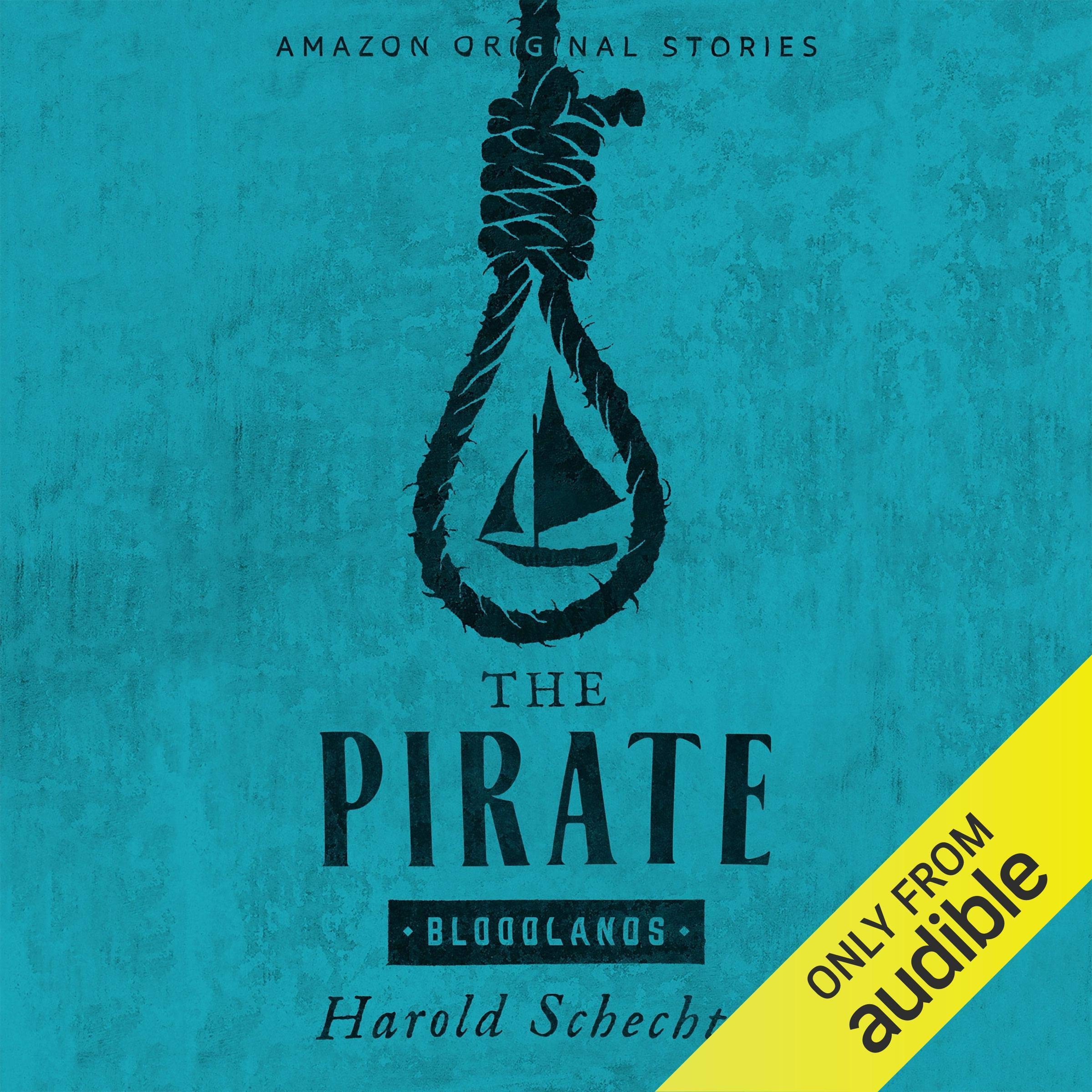 Cover art for The Pirate