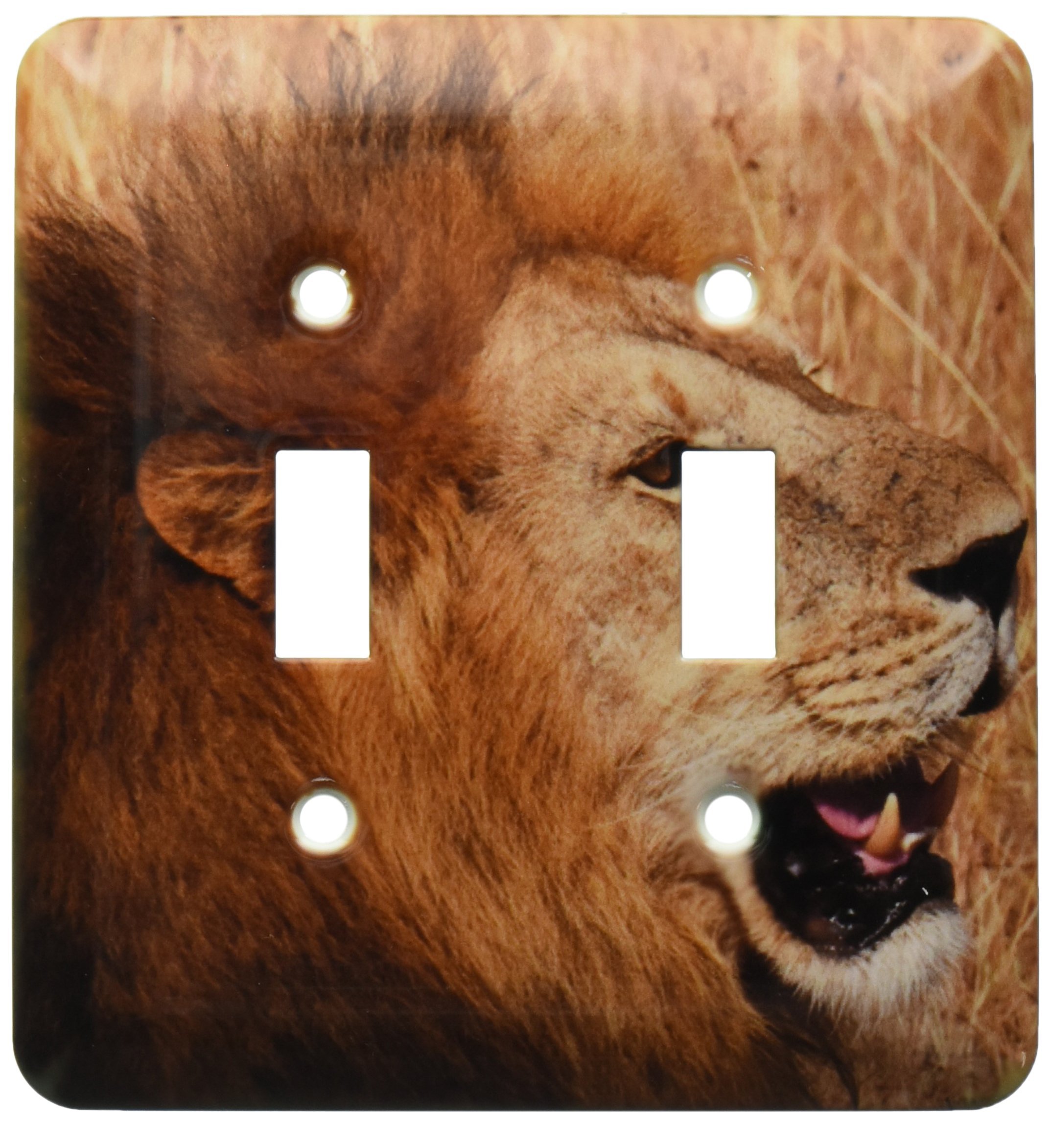 Interrupteur à baïonnette Lion Africain 3dRose pour sublimer l'ambiance d'une chambre