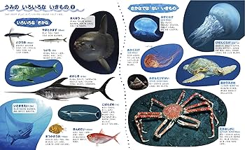 【257】キャラクター図鑑 7冊セット 257】キャラクター図鑑 7冊セット 257】キャラクター図鑑 7冊