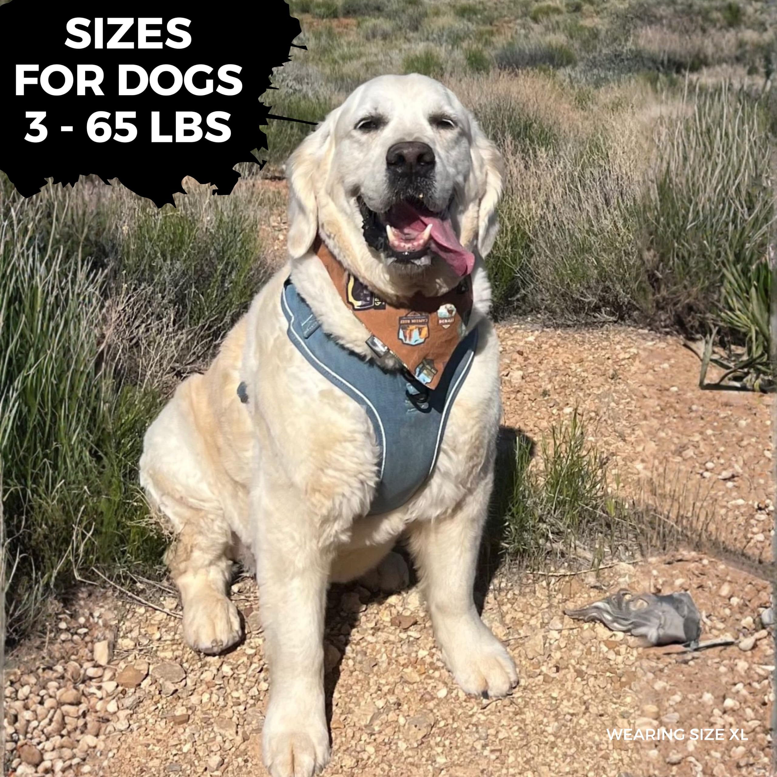 WAG TRENDZ XSmall Dog Harness | No Pull Front Clip Dog Harness | Reflective | Breathable Air Mesh Interior | Real Denim Exterior | Durable & Long Lasting | Downtown Denim | XS - image 2