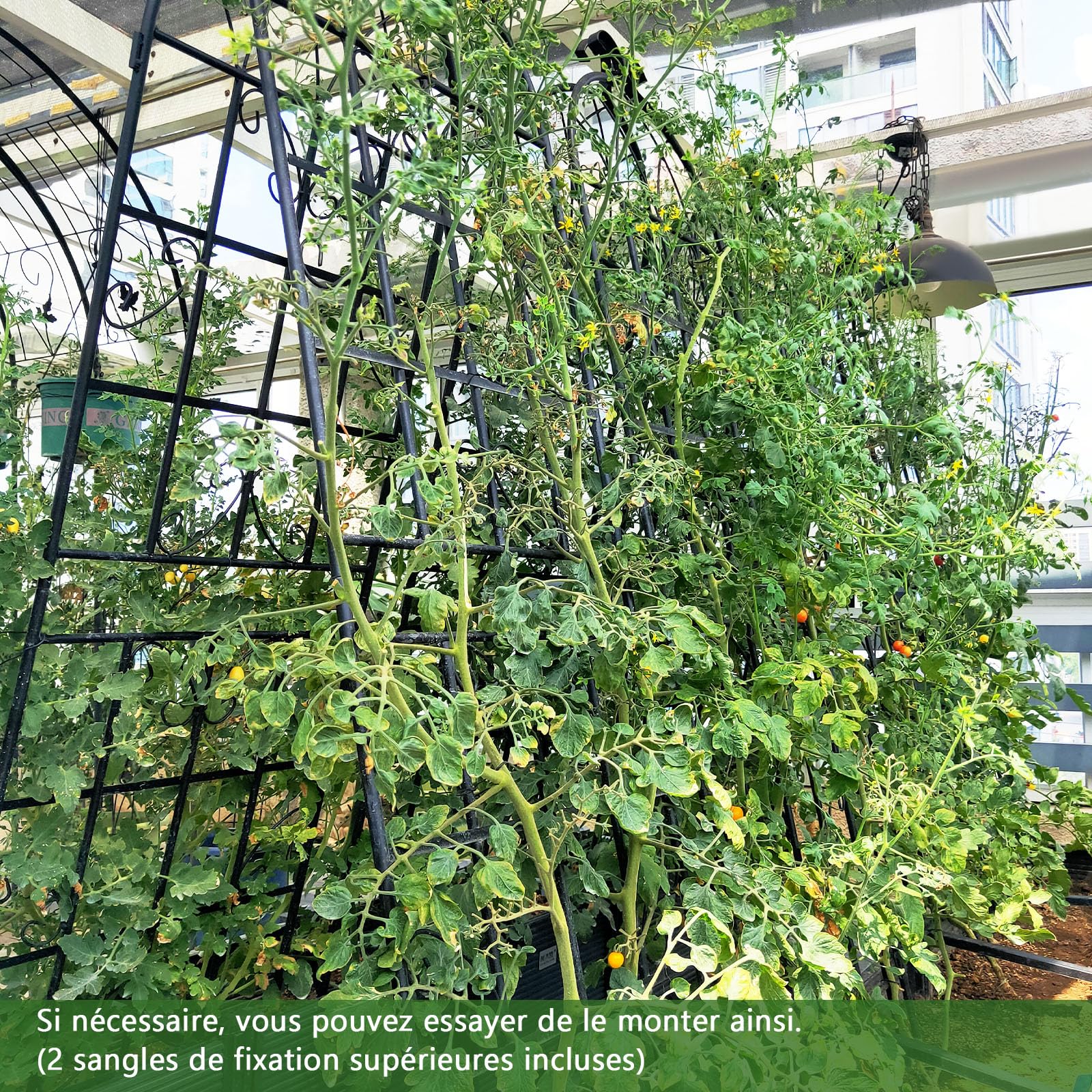 GOPLUS Lot de 2/4 Treillis Jardin pour Plantes Grimpantes, 1,8M/2,2M en Métal Galvanisé, Treillis Décoratif pour Légumes, Fleurs, Vignes (Arc Noir|50x180CM,2)
