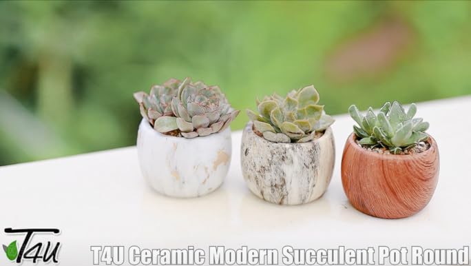 CJ PLANTS × TOOCO 陶器鉢 希少 インテリア鉢/陶器鉢/BOEX】ニードル Φ11cm （HO-2511)