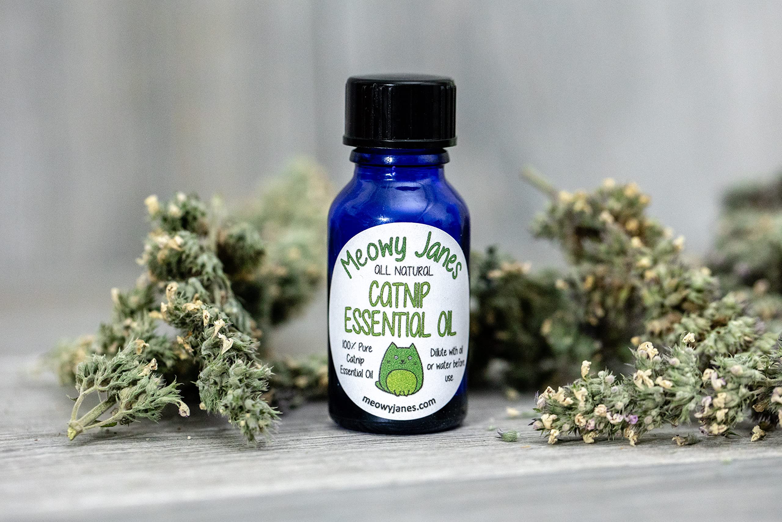 Meowy Janes Catnip Essential Oil, 100% Pure and All Natural, 15 ml Vial, for DIY Catnip Spray & Cat Toys