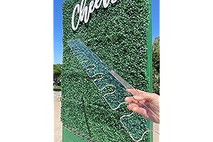 Acrylic Shelf | Champagne Wall Flute Holder | Holds 12 Glasses | 36" Wide