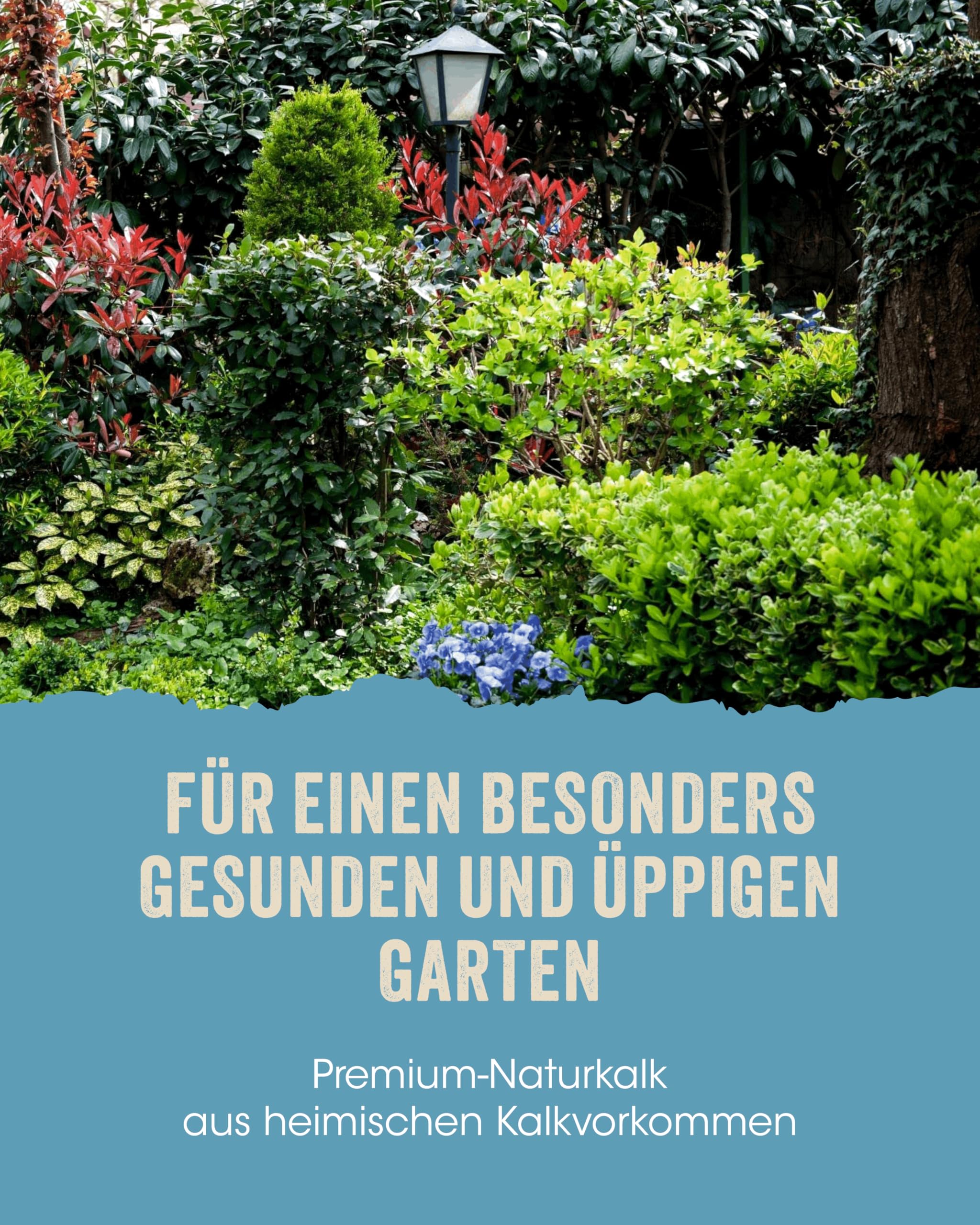 Allflor Nordweissperle Gartenkalk 6 x 20 Kg I Kalk für Gärten im 20kg Beutel I Sofort wirksamer und hochlöslicher Garten- sowie Rasenkalk I Neutralisiert schädliche Säuren