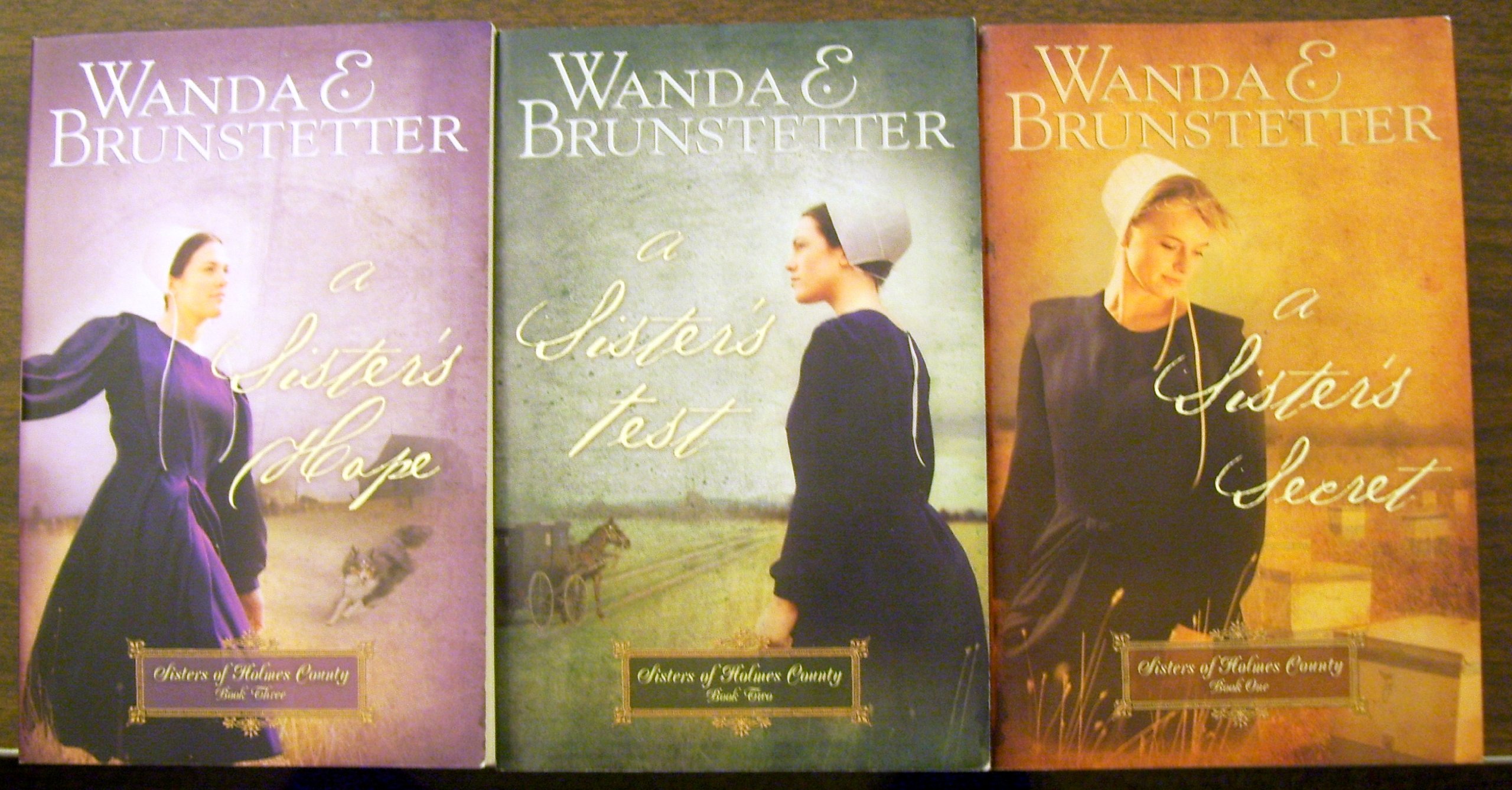 Buy Sisters of Holmes County — BookShops.in