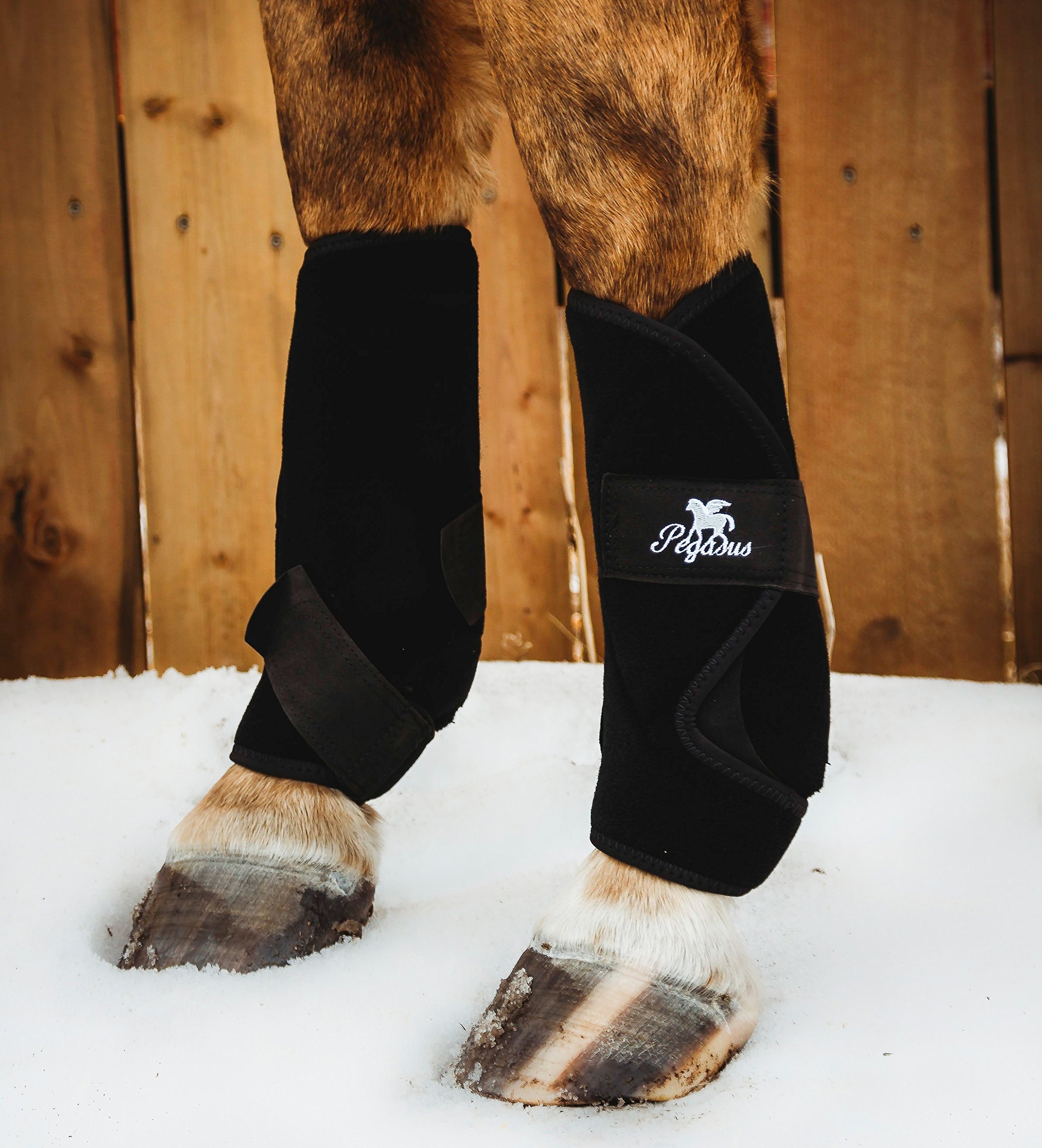 Bluegate Hobby Pegasus Airboots ~ Revolutionary New Protective Horse Boots + Carry Bag and Microfiber Mitt. (Introductory)