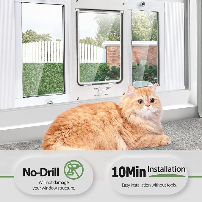 Cat Window