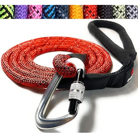 leash with locking carabiner