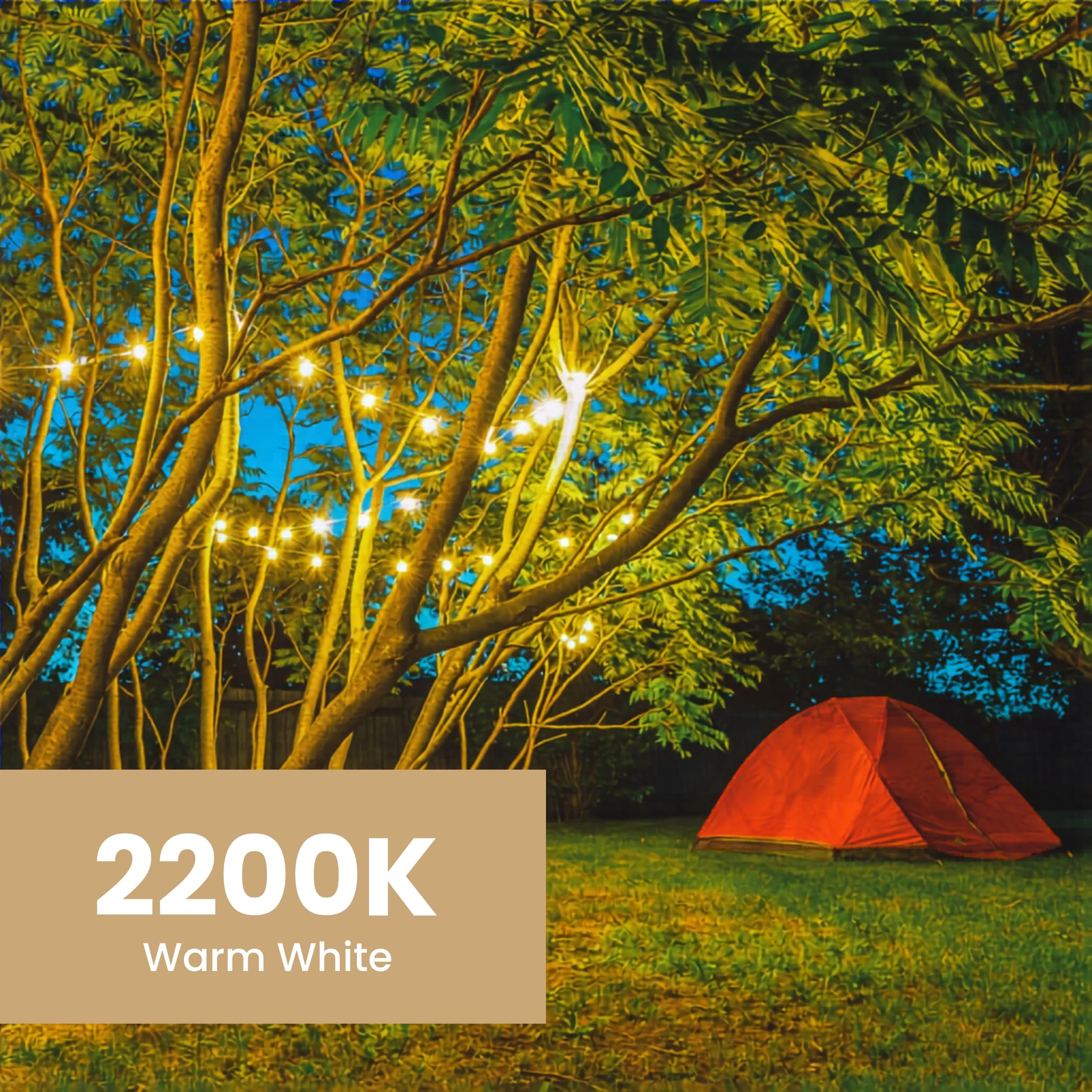 Best Feit Electric String Lights for 2026 2 Feit Electric 20ft Incandescent and Weatherproof String Lights with 10 Outdoor S — product photo