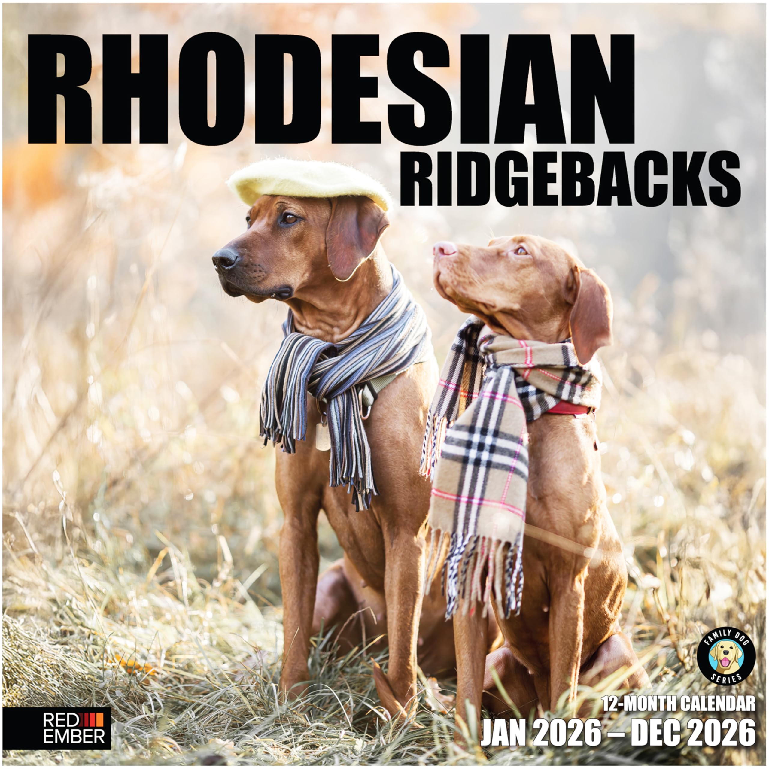 RED EMBER Rhodesian Ridgebacks 2026 Wall Calendar 12 Month | 12" x 24" Open | Thick &amp; Sturdy Paper | Giftable | Cute Puppy Dog Calendar 2026