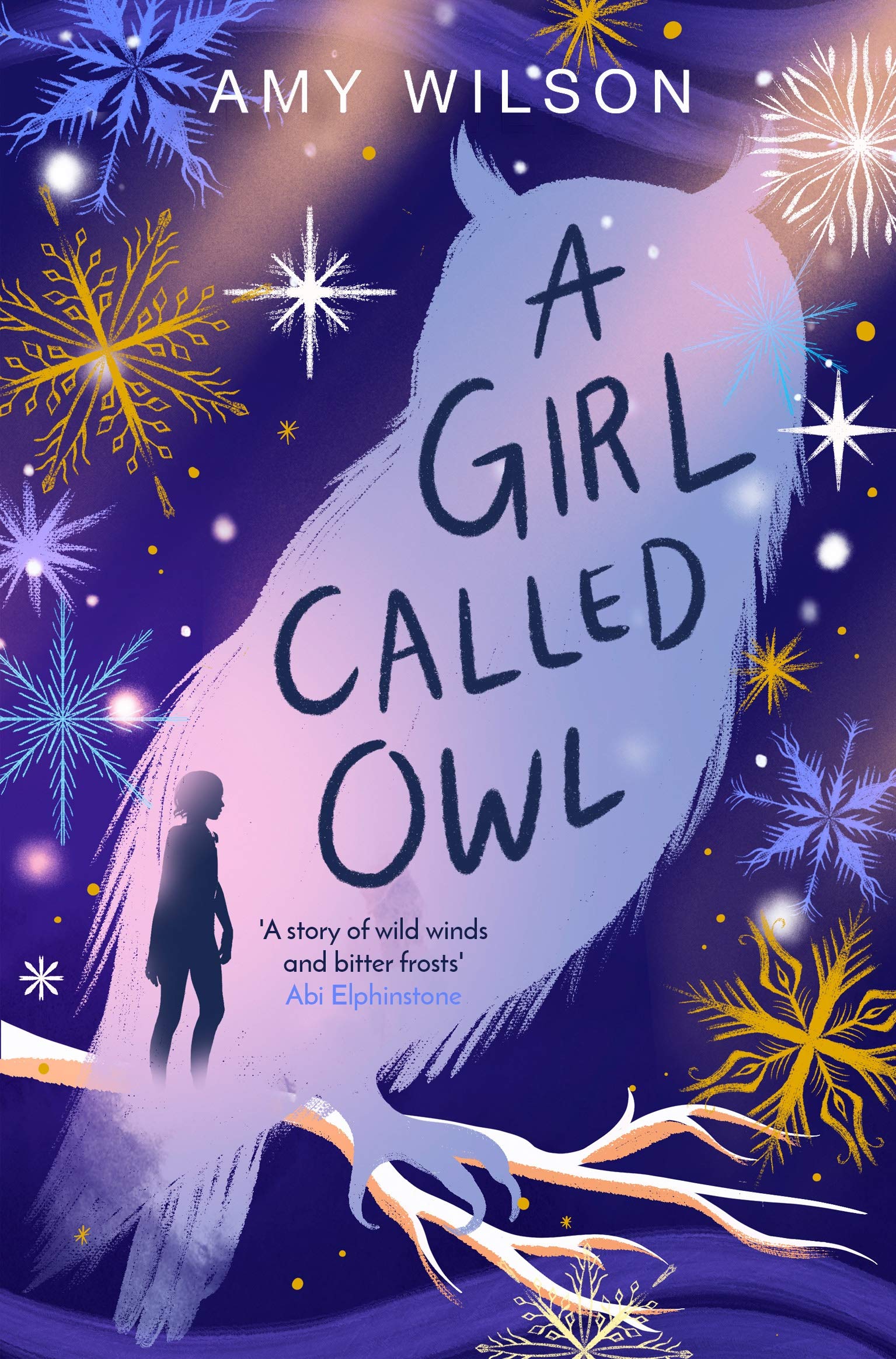 A Girl Called Owl by Amy Wilson Fiction About Parents for Young Paperback NEW