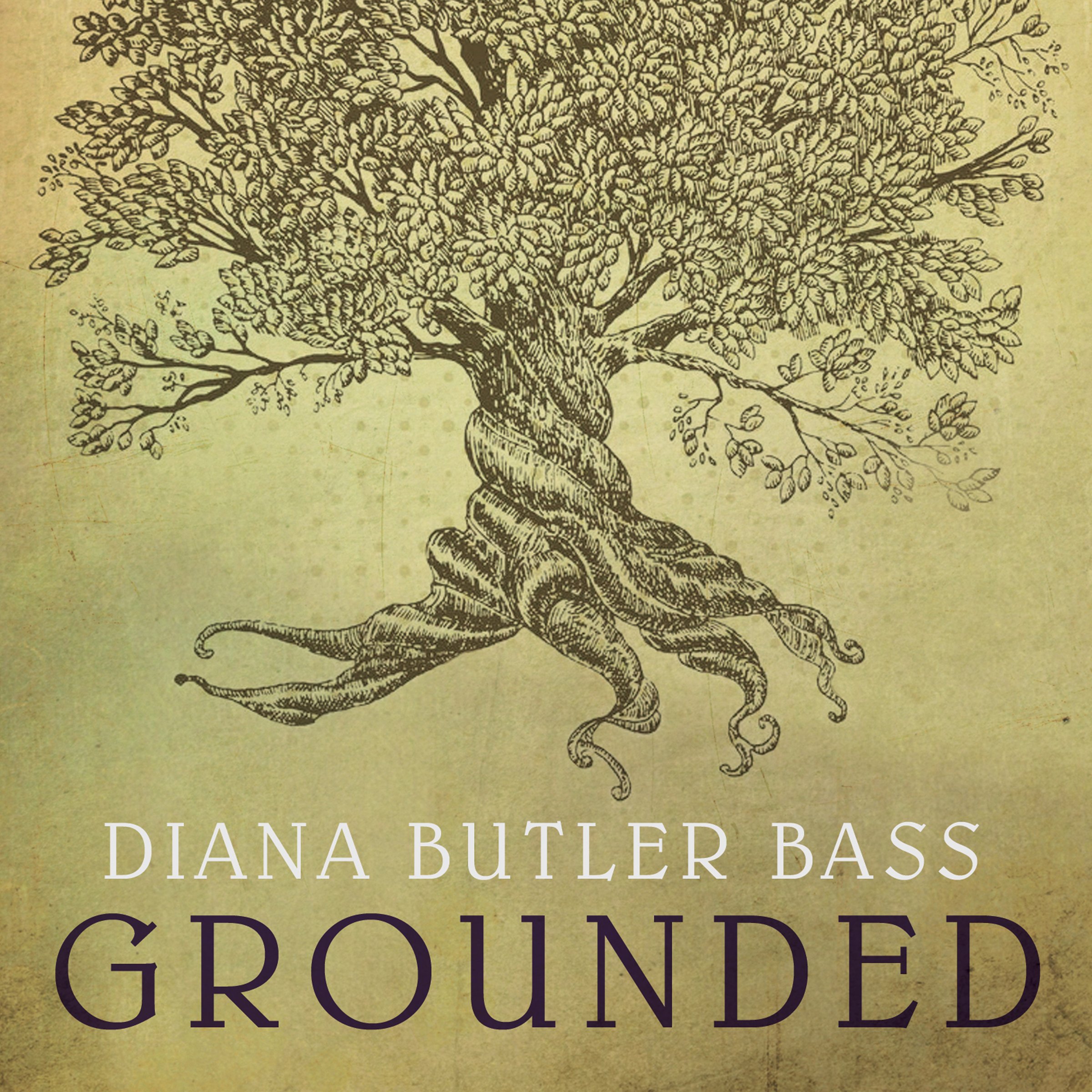 Cover art for Grounded