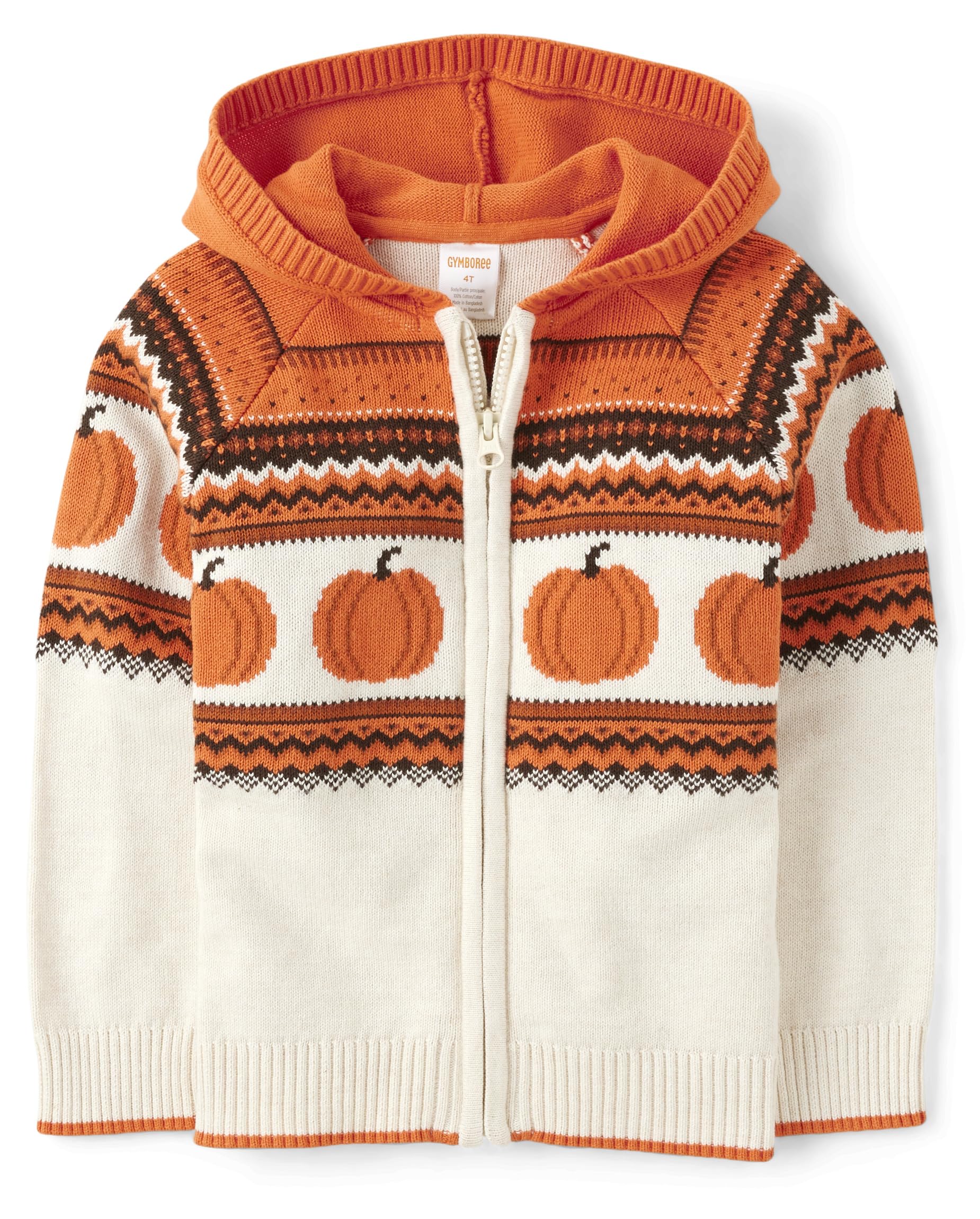 Gymboree Pumpkin Fairisle Hoodie