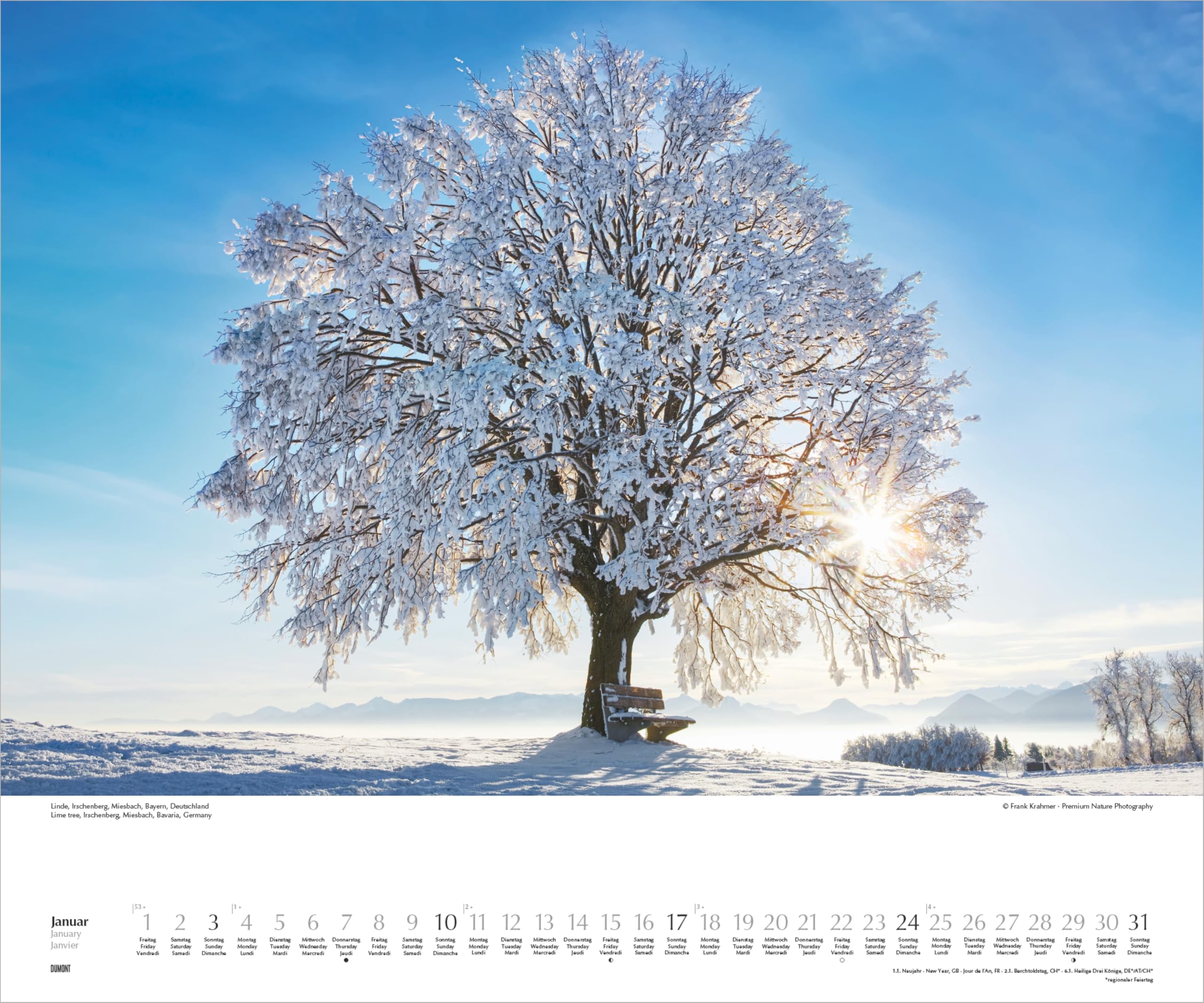Heimische Bäume 2027: Wandkalender 60x50 cm mit Naturfotografie und 3-sprachigem Kalendarium
