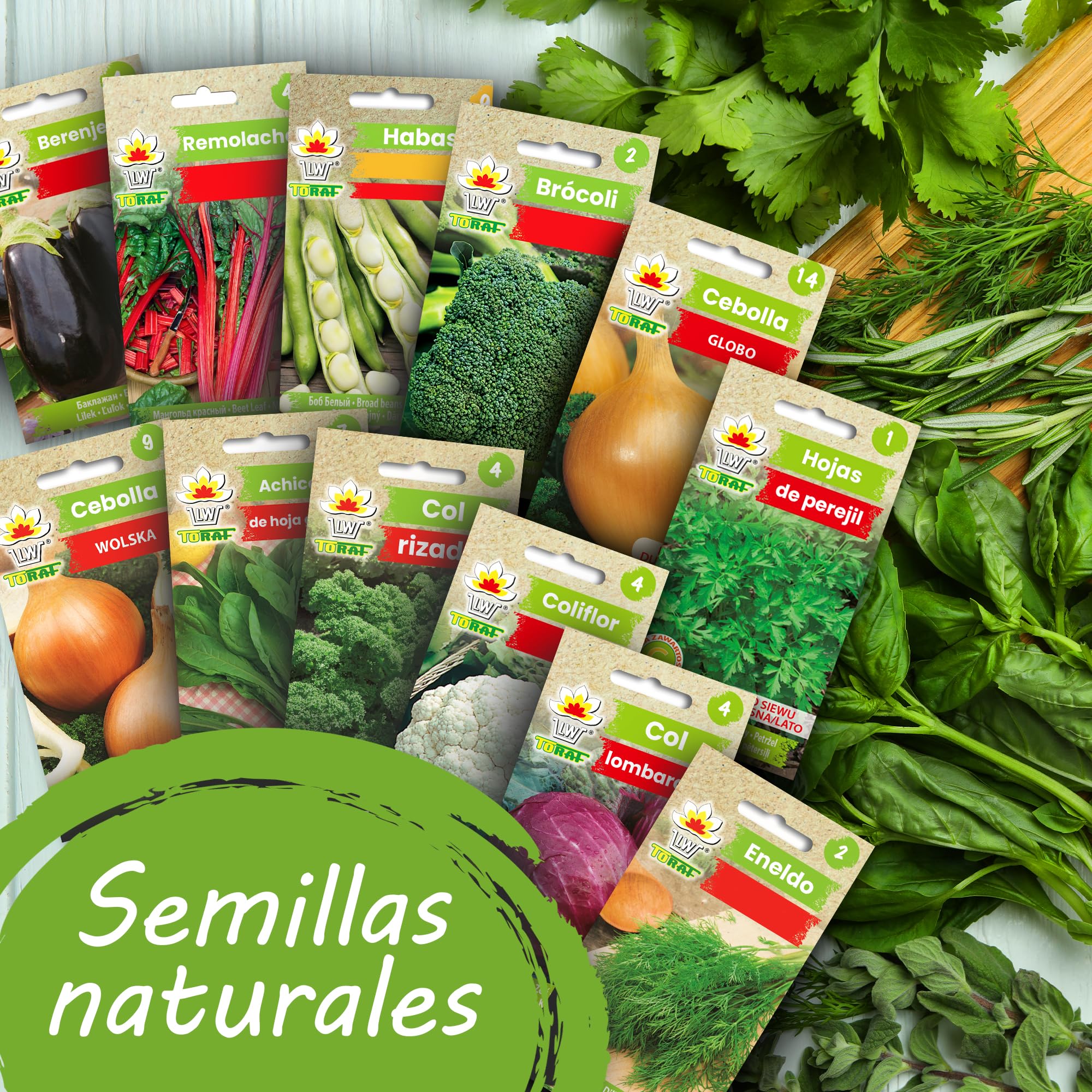 TORAF set de semillas de hortalizas 5x12 pack, kit semillas huerto semillas ecologicas para cocina, balcón y jardín, berenjena, remolacha, cebollas, col, eneldo, coliflor y otros, owngrown