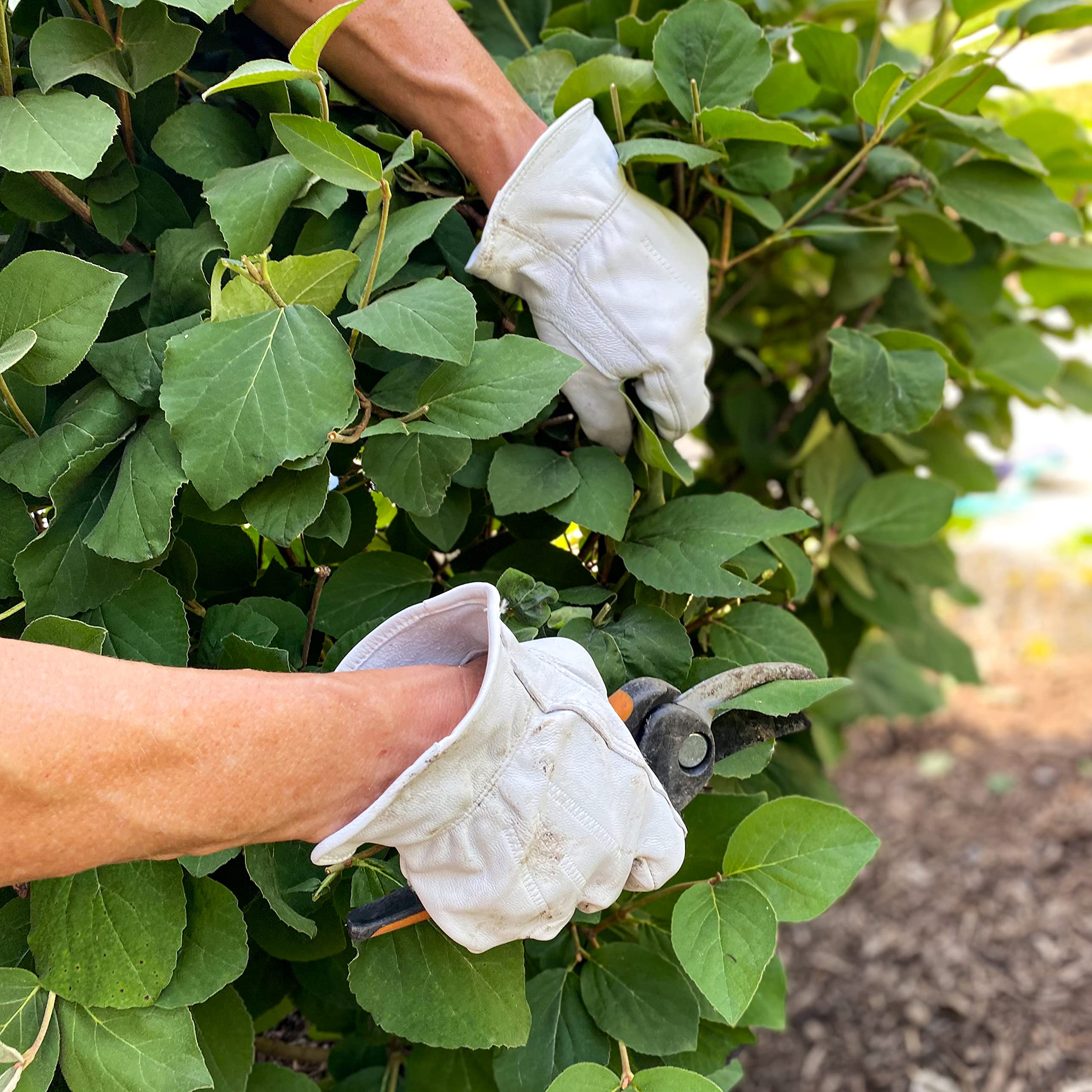 Wells Lamont guantes de trabajo con perlas grano cabra conductor guantes con palma página