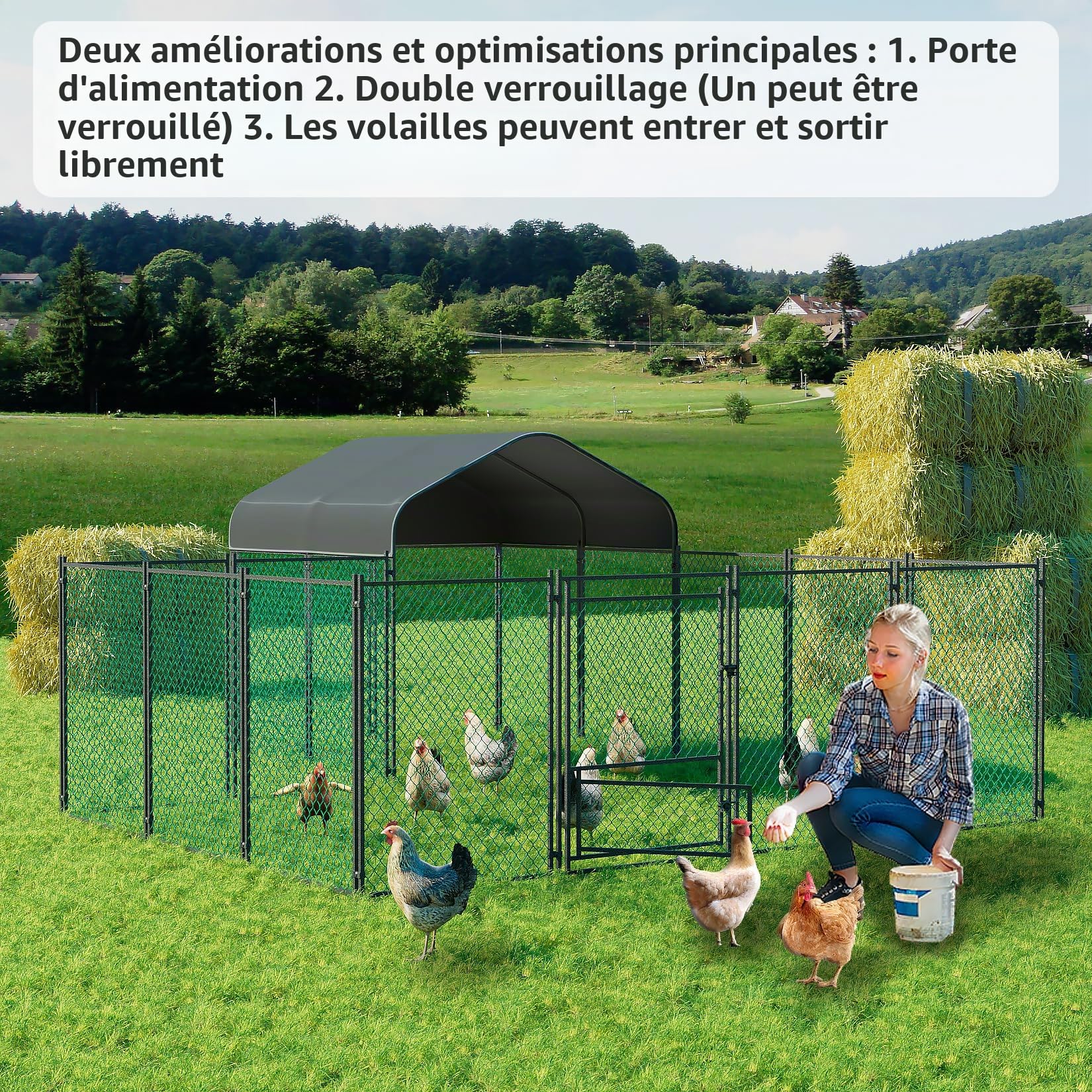 BingoPaw Poulailler Grand Enclos Extérieur, Parc à Poules Grillagé 10 m² - Cage à Poule Grillagé Grande Taille Cadre en Acier Galvanisé avec Bâche