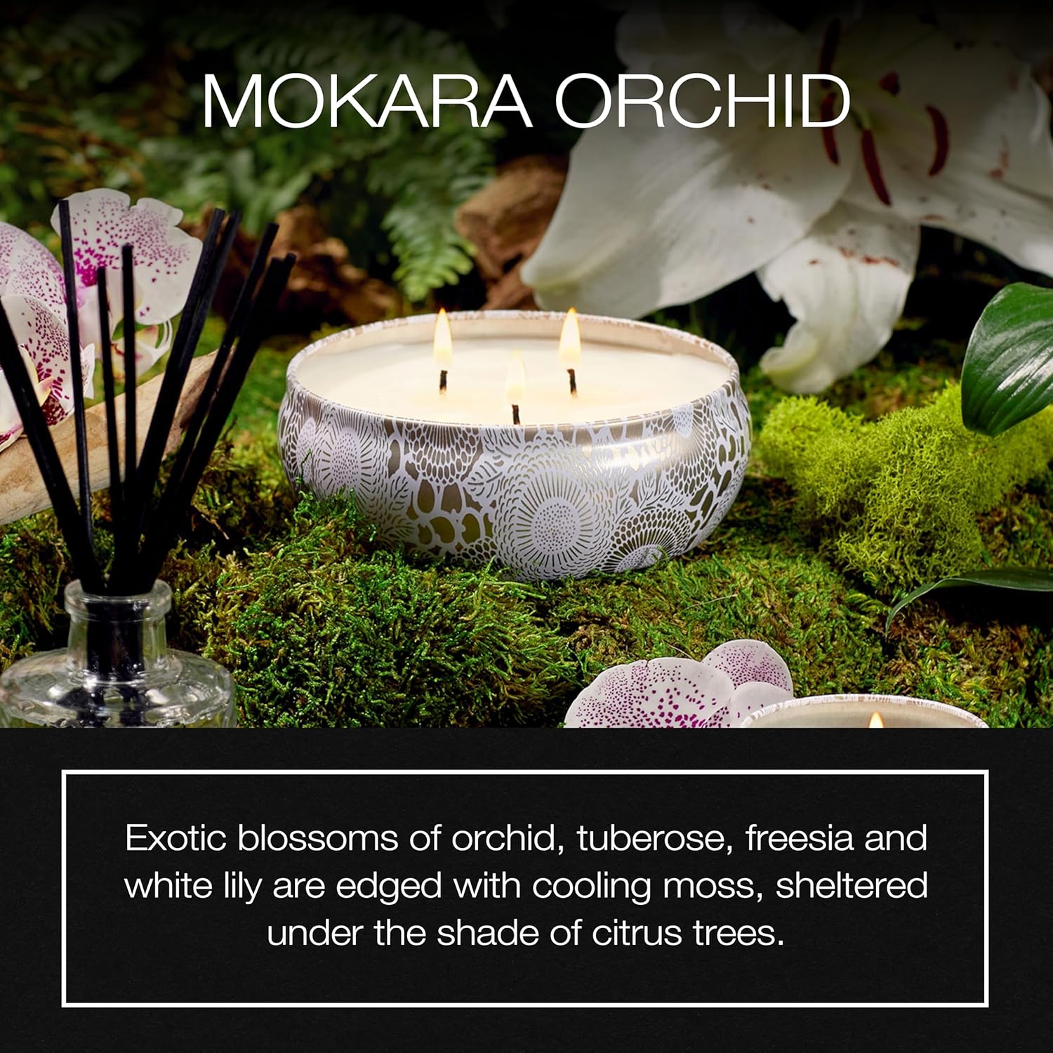 Voluspa Mokara Orchid, 3 Wick Tin Candle, 12 oz, 40 Hour Burn Time, All Natural Wicks and Coconut Wax for Clean Burning, Vegan, Poured in The USA