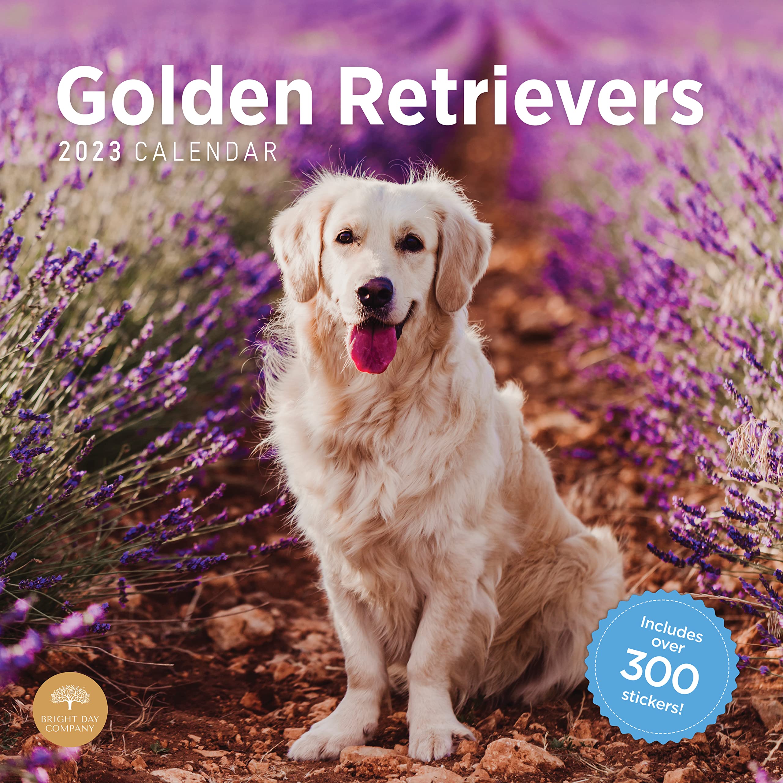 Amazon.com: 2023 Golden Retrievers Monthly Sticker Wall Calendar by Bright  Day, 12 x 12 Inch, Cute Puppy Dog : Office Products