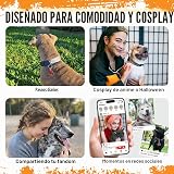 Ver la foto 5