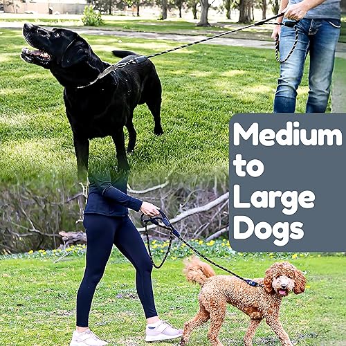 Miniatura 7 de Roam Gear Asas dobles extra acolchadas, correa reflectante resistente de 6 pies de largo con mosquetón de resorte de 360 grados, abrazaderas de