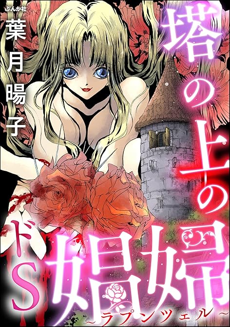 塔の上のドS娼婦 ～ラプンツェル～の表紙イラスト