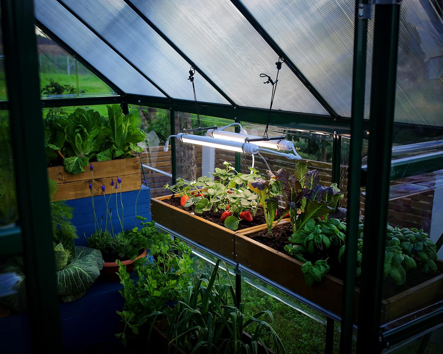 Palram - Canopia Greenhouses LED Grow Light for Plants, Vegetables, Fruits, Flowers, Growth Plant Light