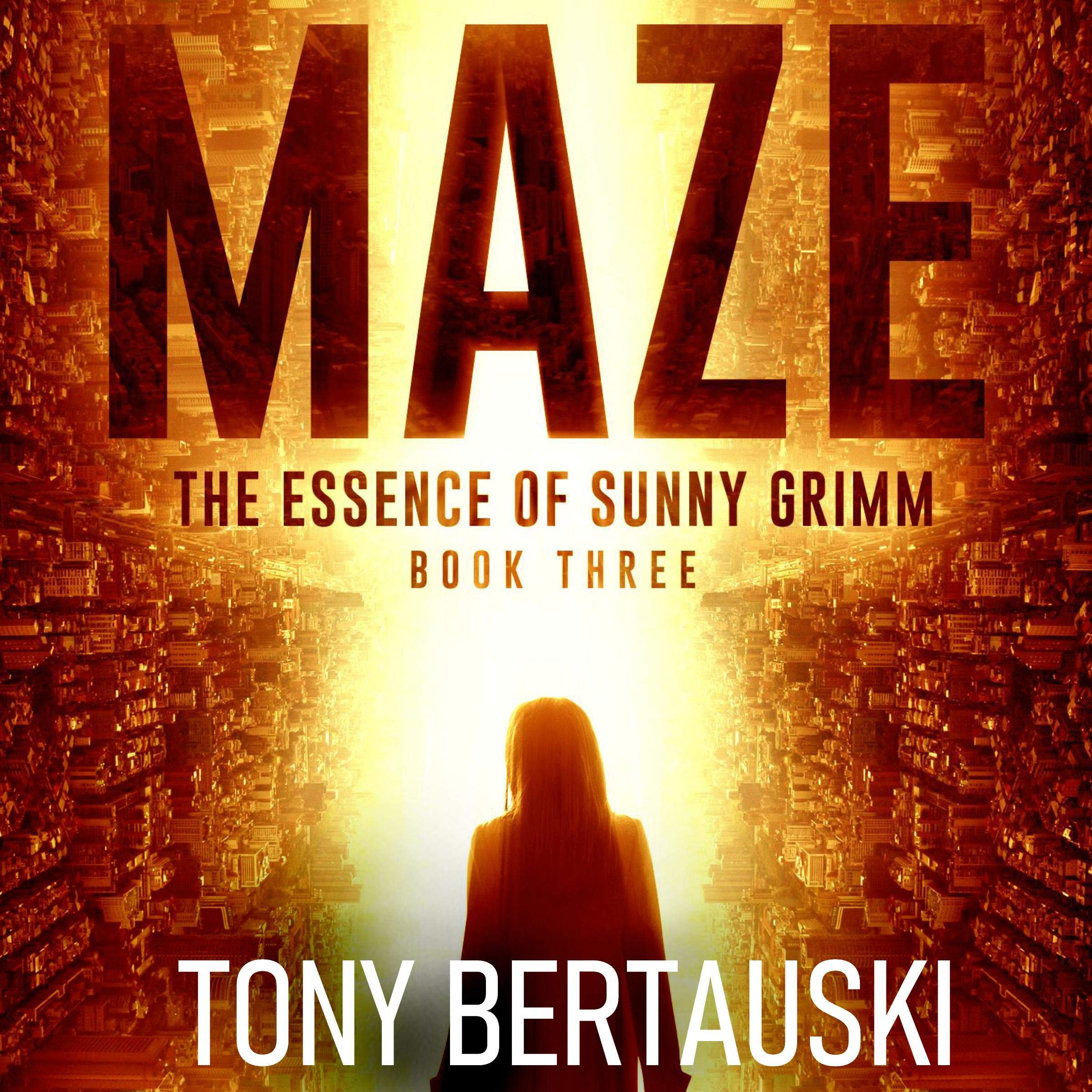 Cover art for The Essence of Sunny Grimm