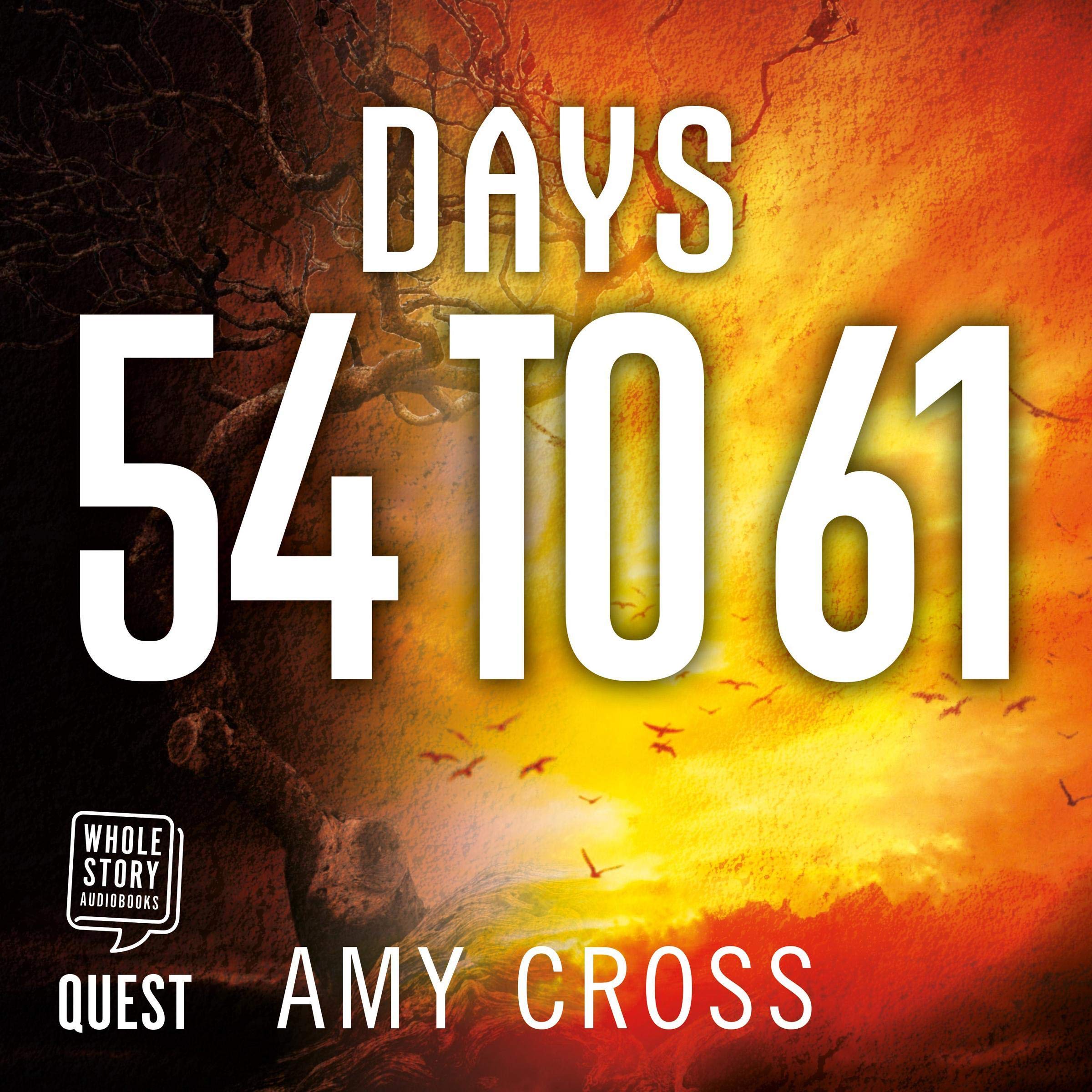 Cover art for Days 54 to 61