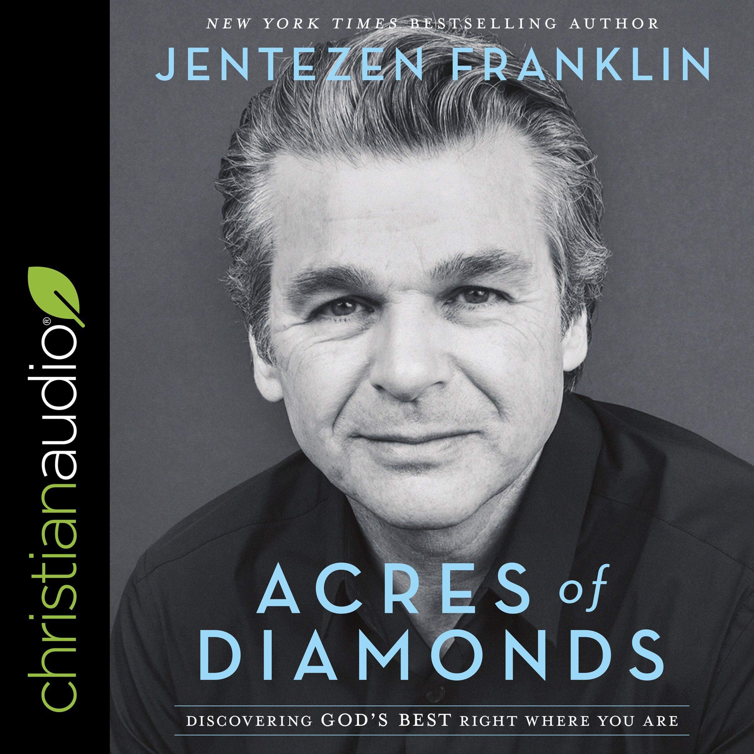 Cover art for Acres of Diamonds