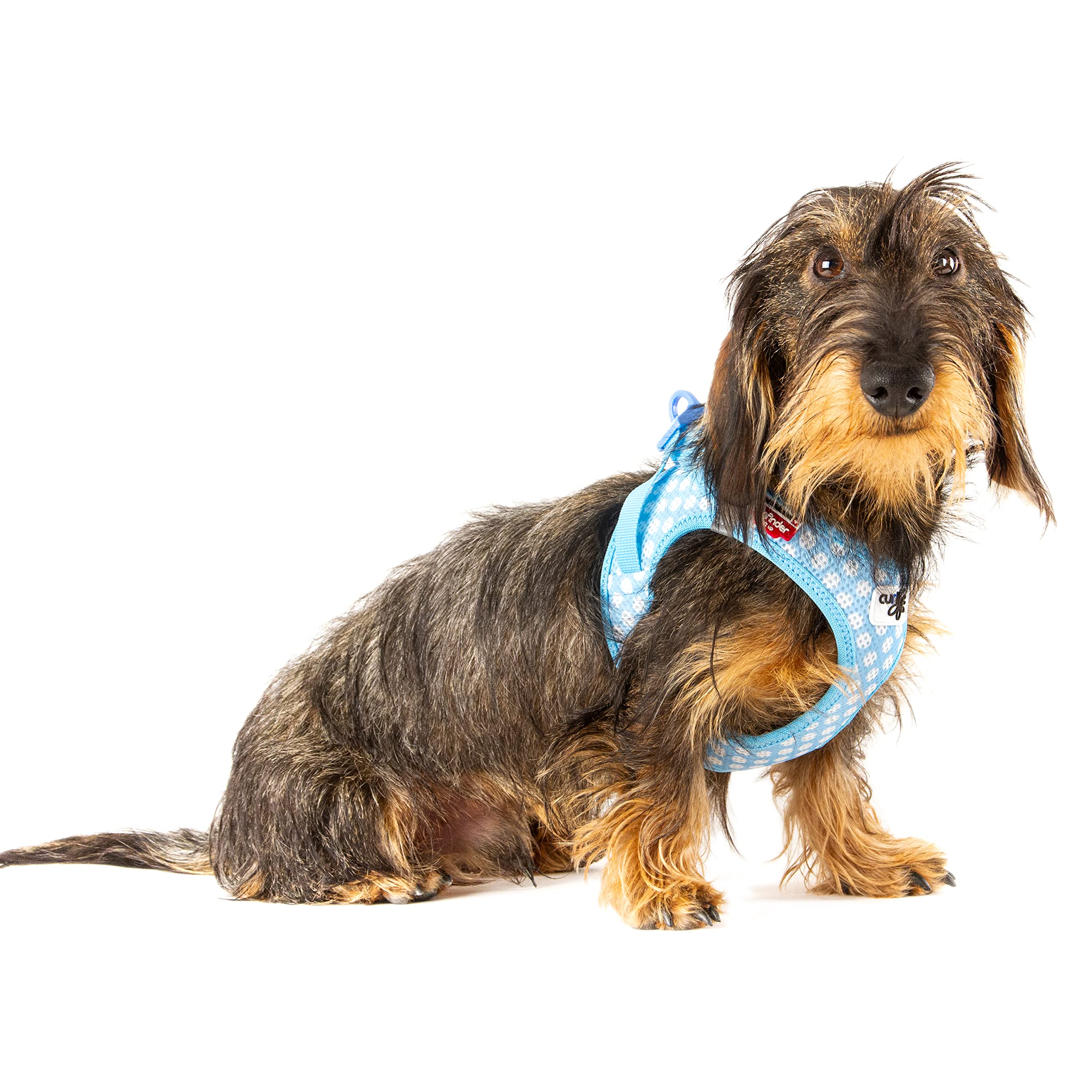 Vest Harness curli Clasp Air-Mesh Skyblue-Circles 3XS & Leash M - Image 3