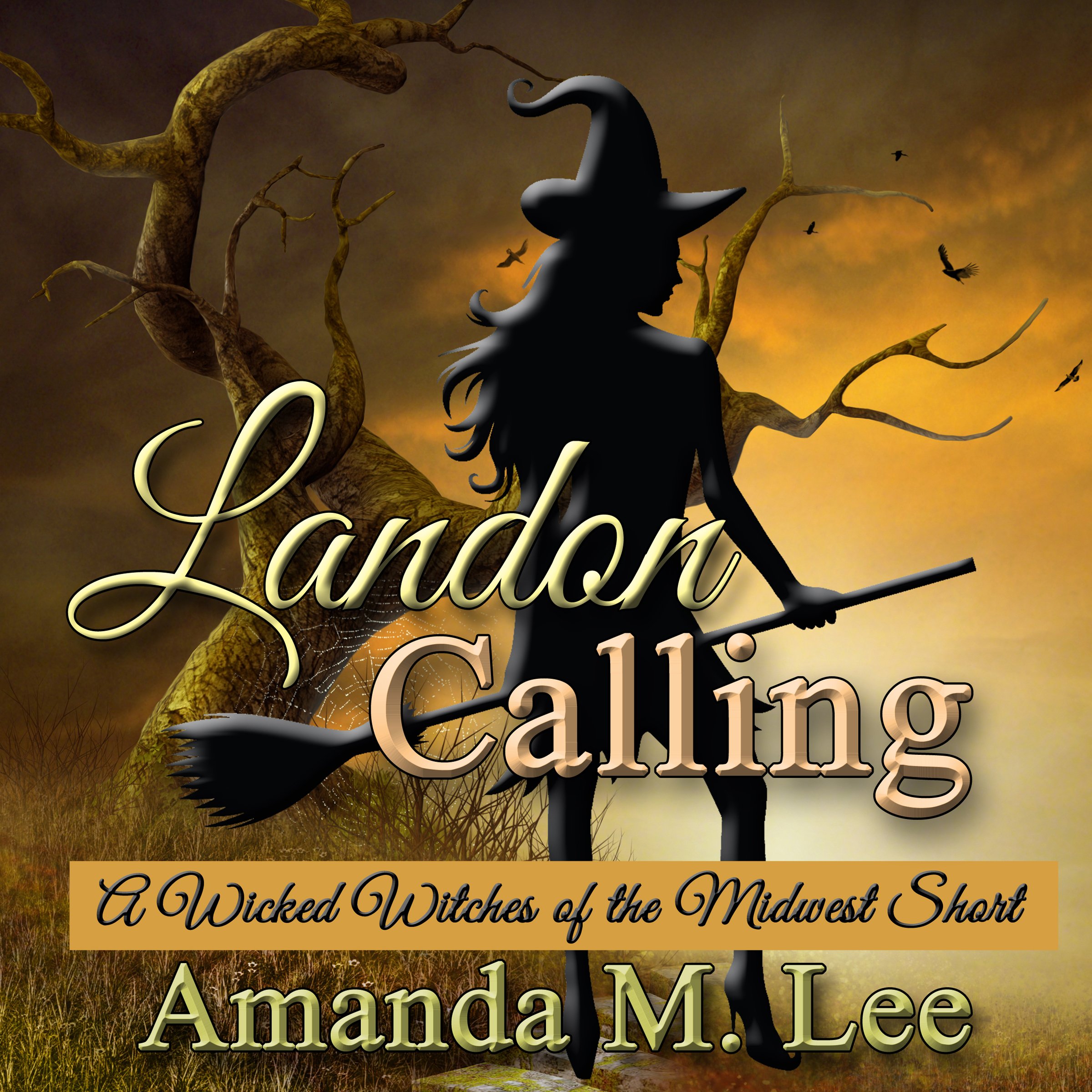 Cover art for Landon Calling