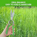 Garden GURU Hand Grass Clipper Scissors – Classic Forged Steel Grass Shears Pruners – Comfort Grip Handles – Perfect for Hand Edging Lawn, Trimming Shrubs & Flowers, Gardening, Landscaping