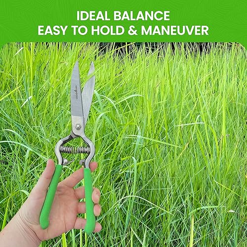 Miniatura 4 de GARDEN GURU Tijeras de mano para cortar césped, podadoras clásicas de acero forjado, asas de agarre cómodo, perfectas para bordes de césped a mano,