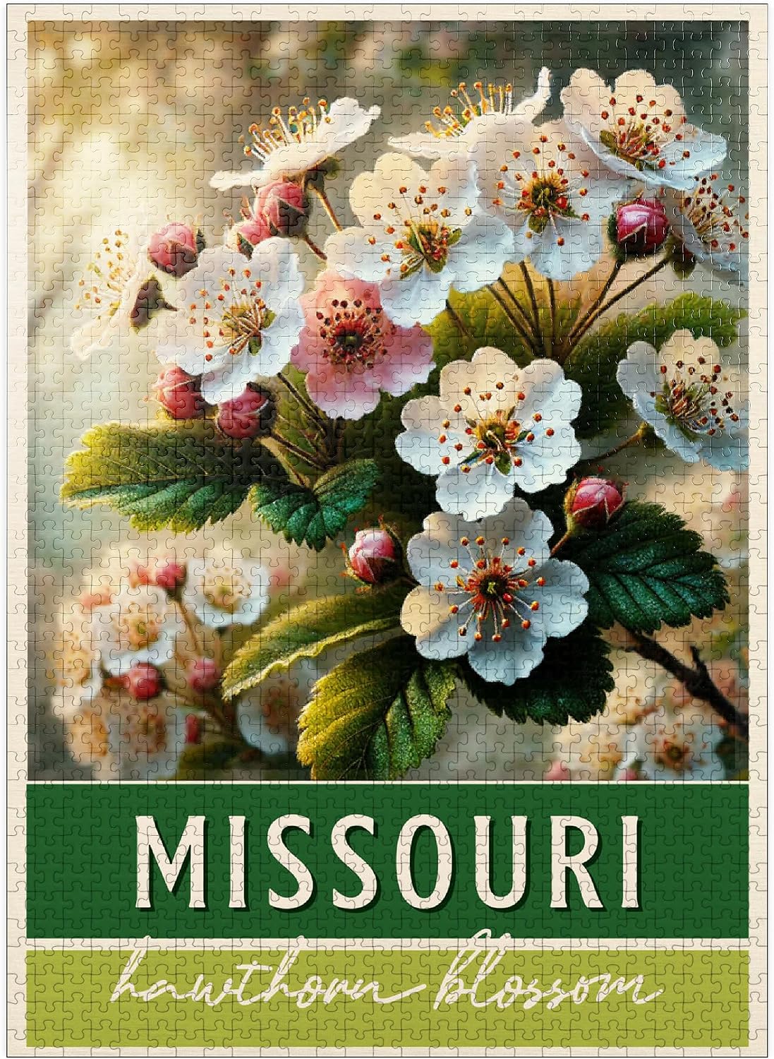 MyPuzzle State Flowers Series: Missouri, Hawthorn Blossom, Green - Premium 500 Piece Jigsaw Puzzle for Adults
