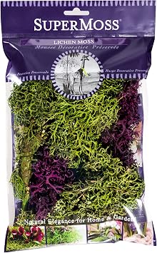 SuperMoss 25811 Lichen Parmelia Branched, Green + Burgundy Mix, 120 cu in
